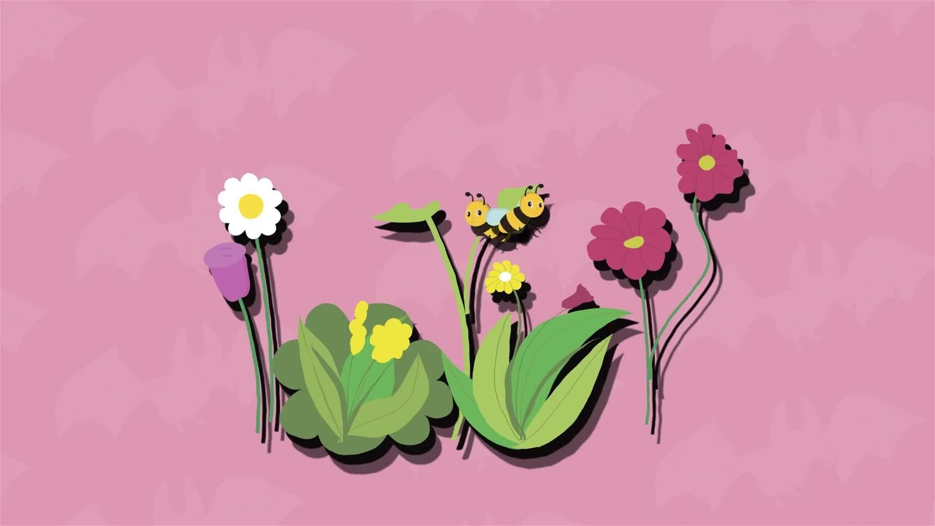 I WONDER - Why Are Bats Important?