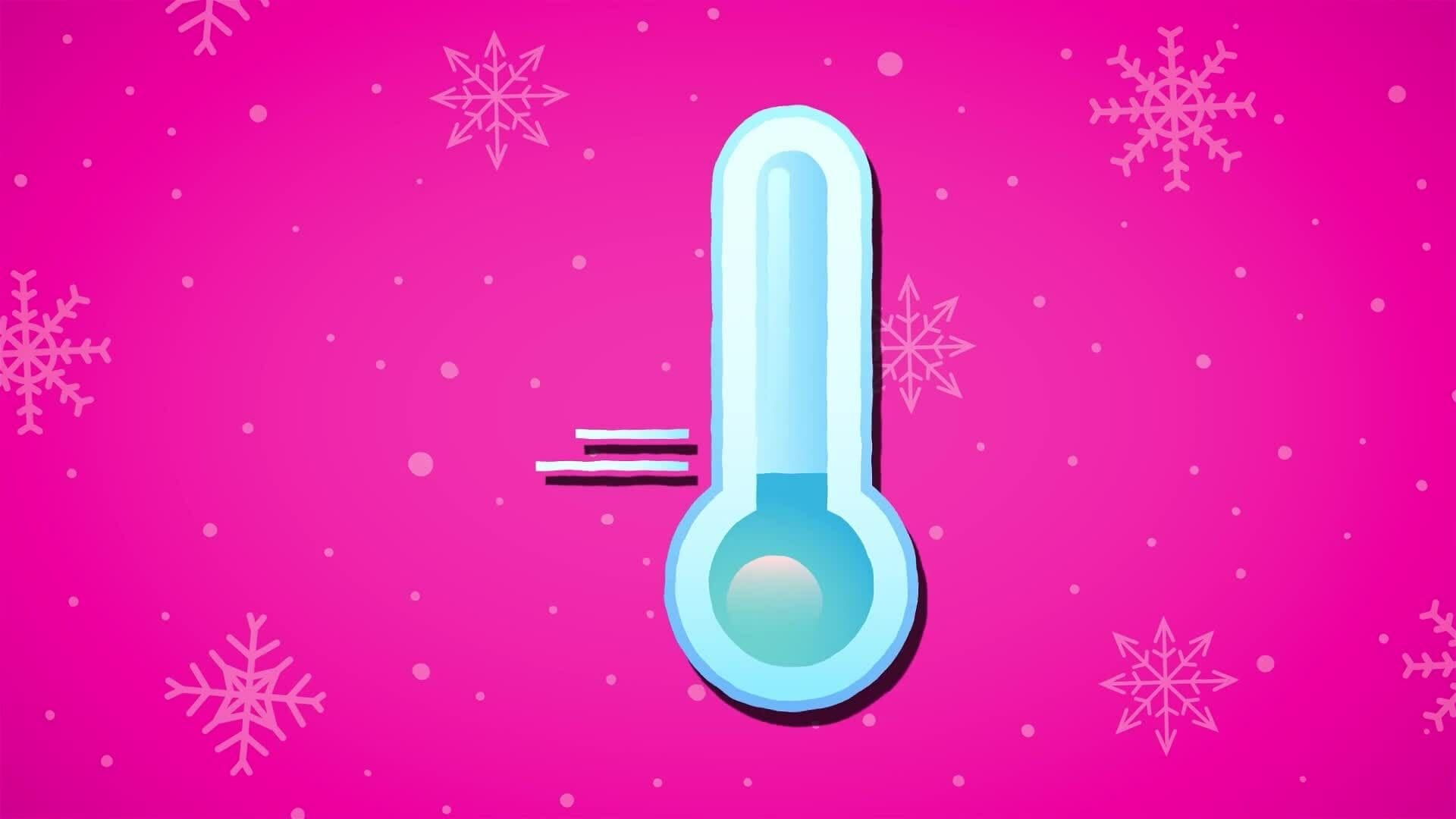 I WONDER - Where Are The Polar Regions?