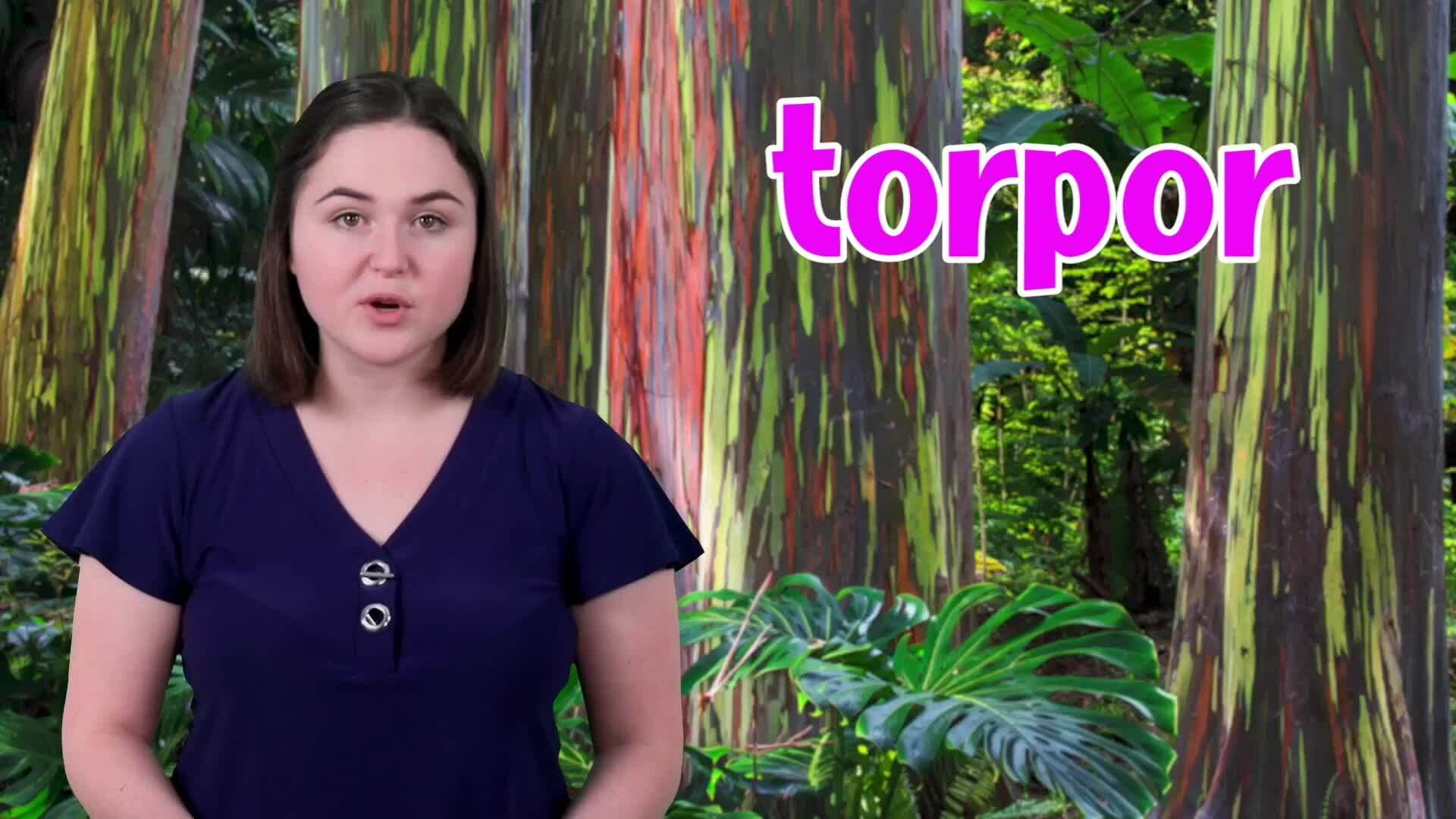 The Complexities of Hibernation: Understanding Animal Dormancy