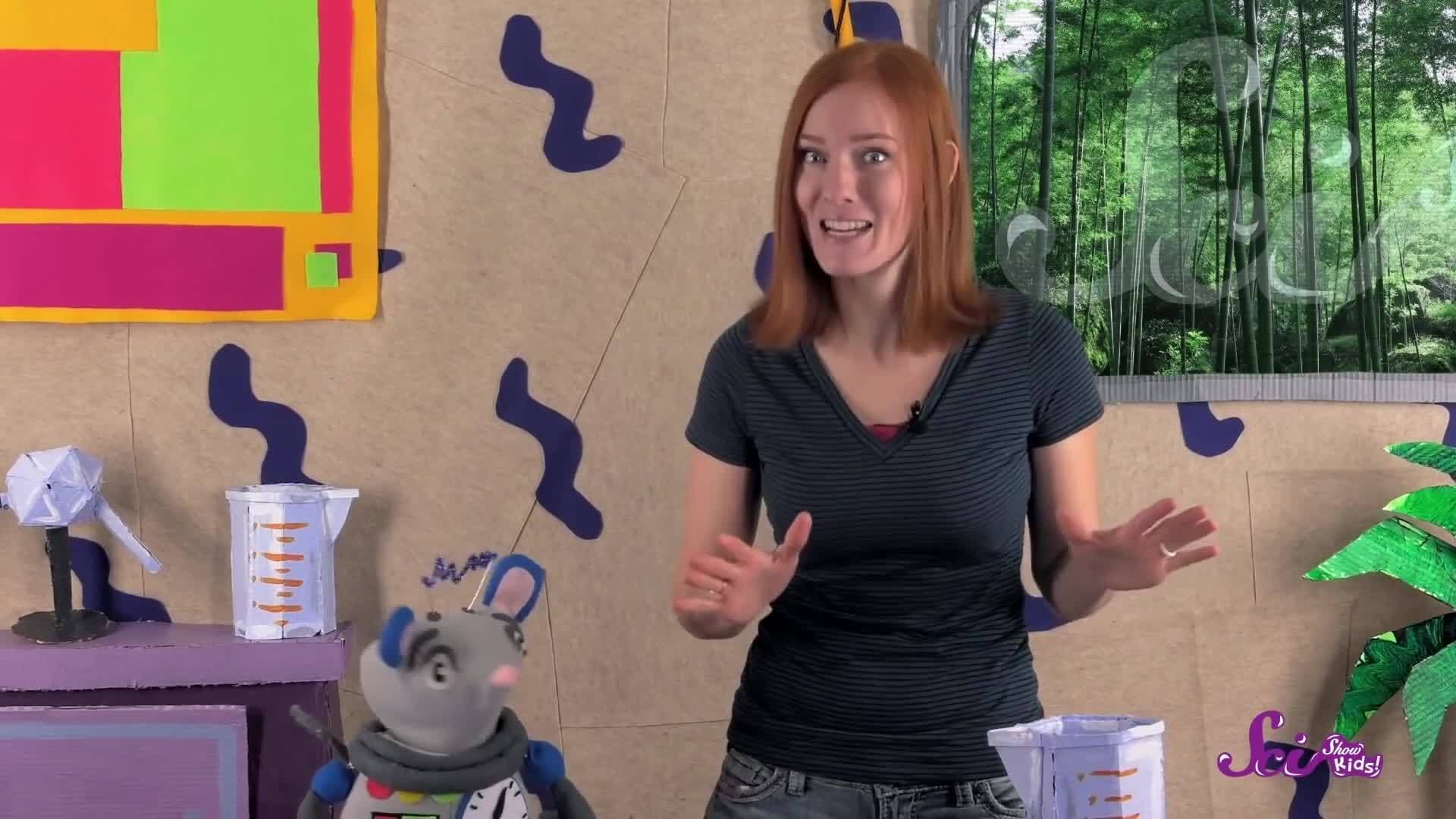 The Bug Hunting Game! Science for Kids