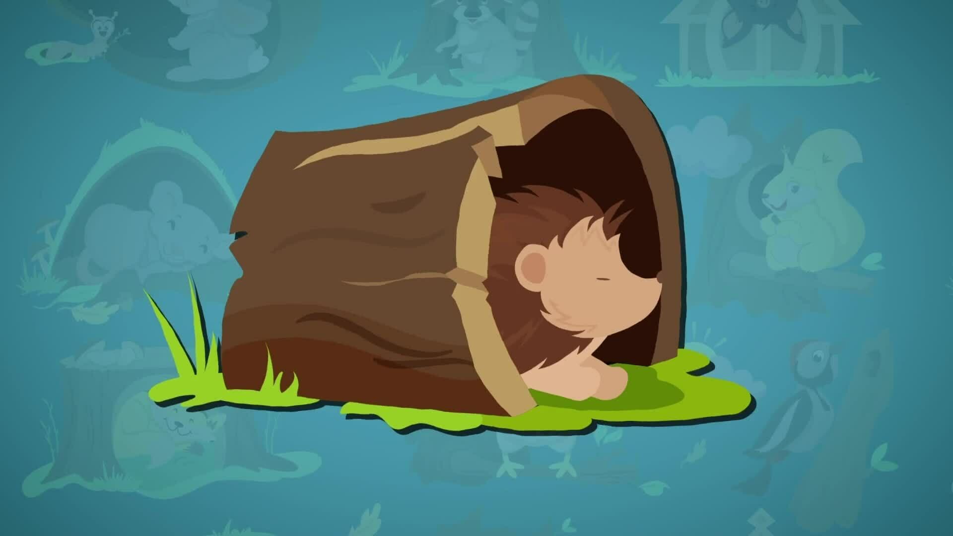 I WONDER - Why Do Animals Hibernate?