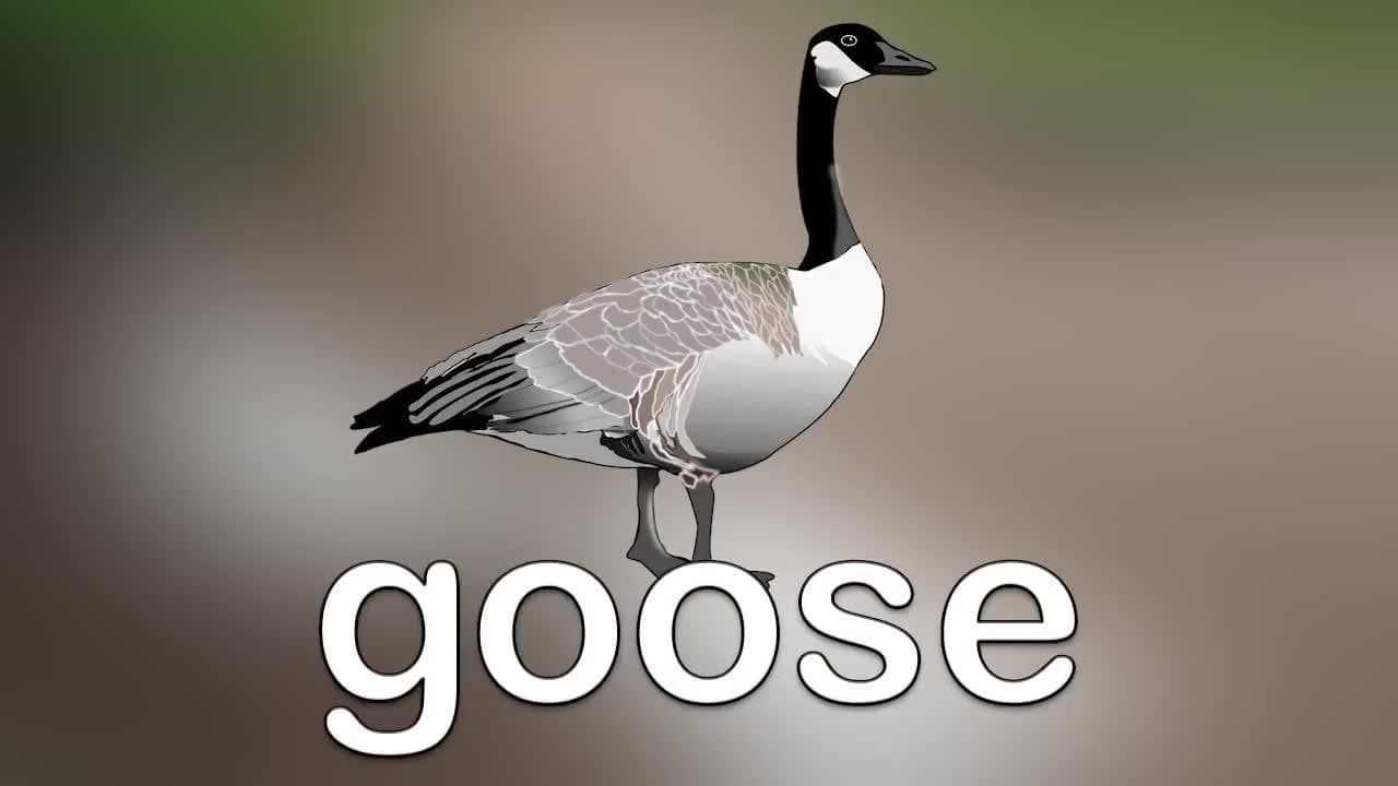 Farm Animals for Toddlers and Kids