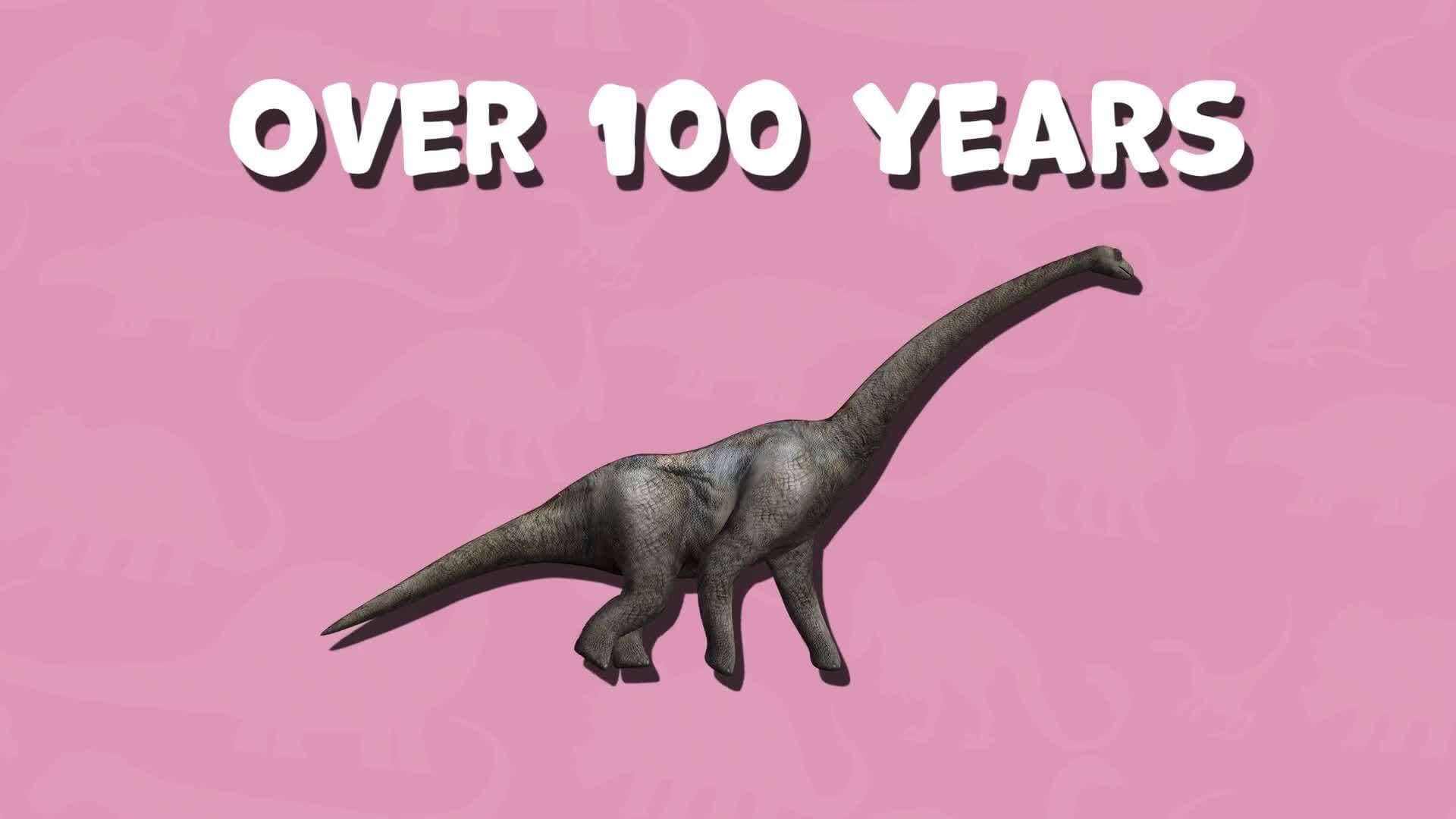 I WONDER - How Long Did The Brontosaurus Live?