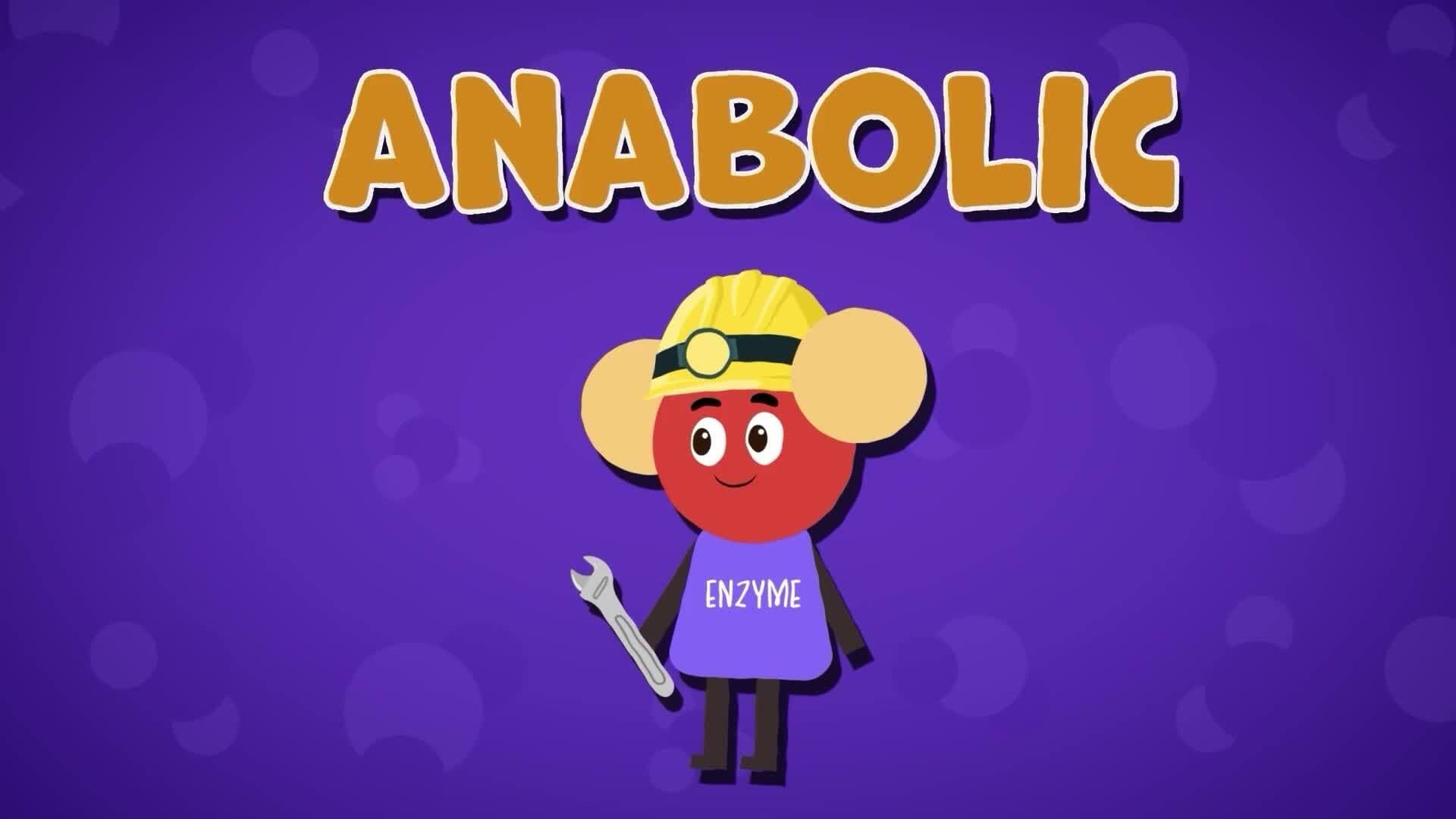 I WONDER - What Are Metabolic Reactions?