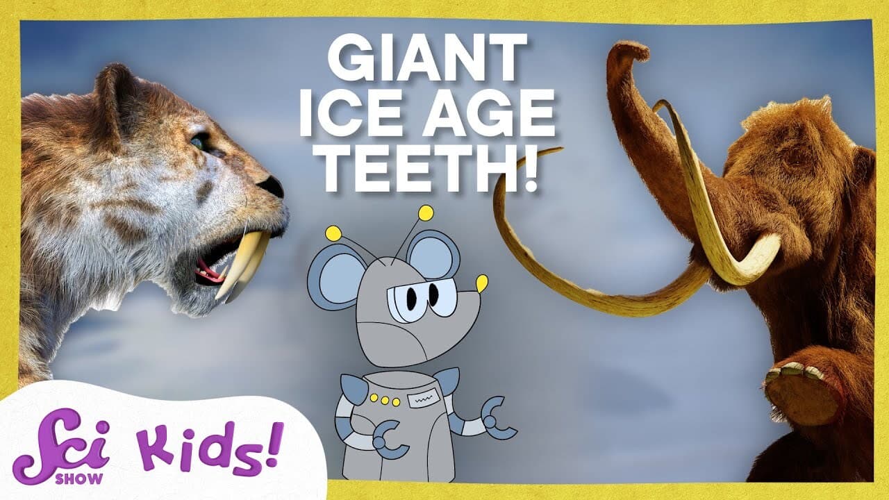 Tails and Tusks and Teeth, Oh My! | SciShow Kids Compilation