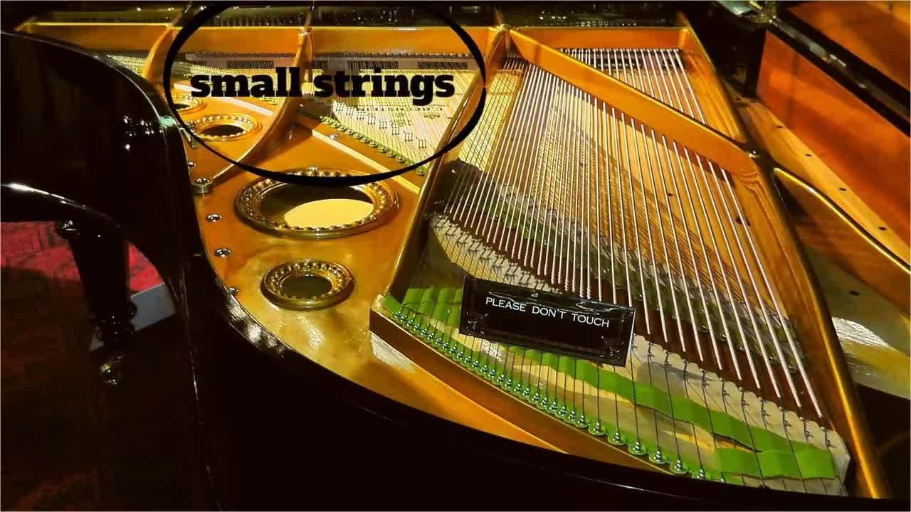 Piano Lessons for Kids High and Low