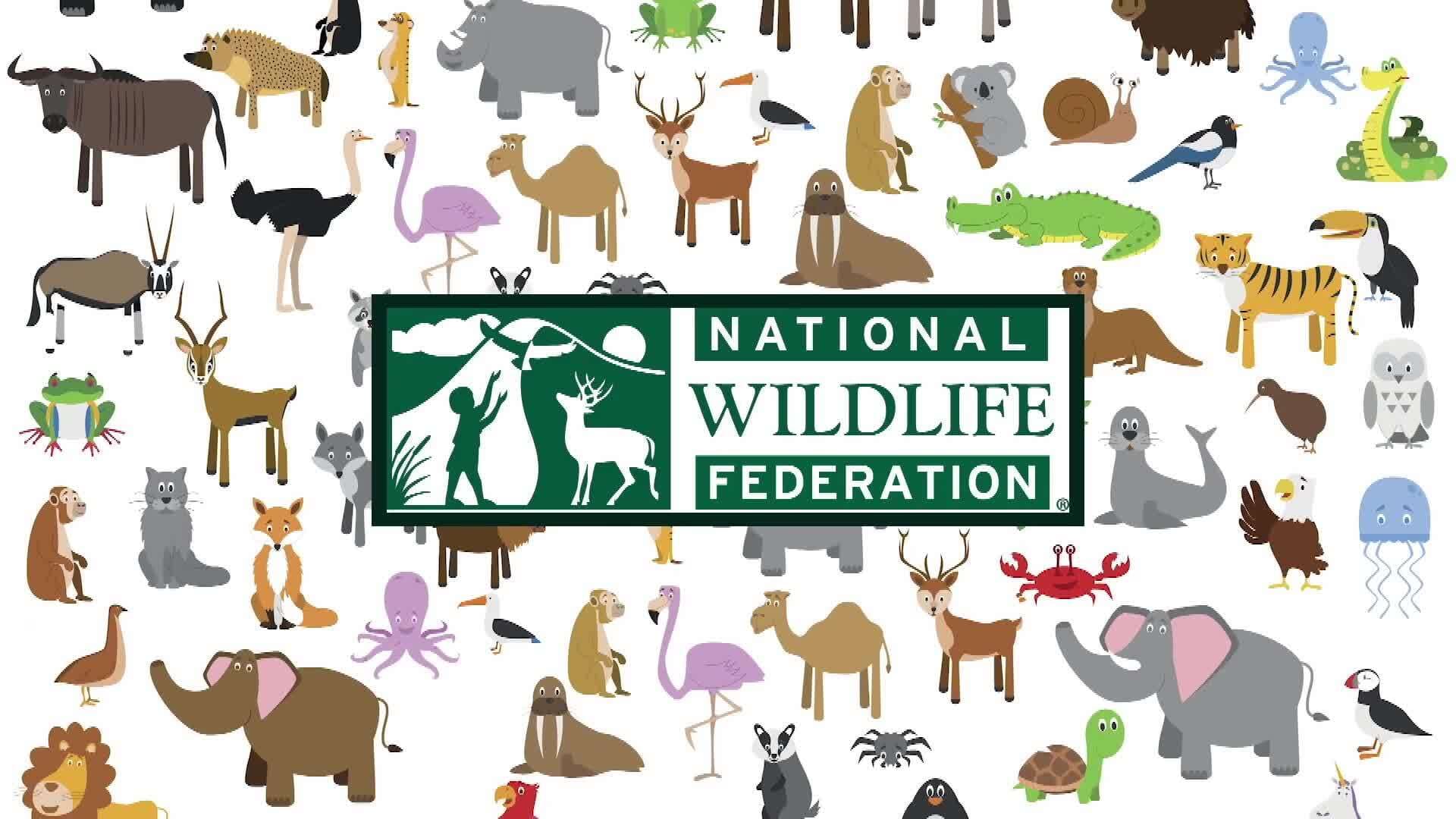 Exploring Biodiversity: Species and Ecosystem Diversity