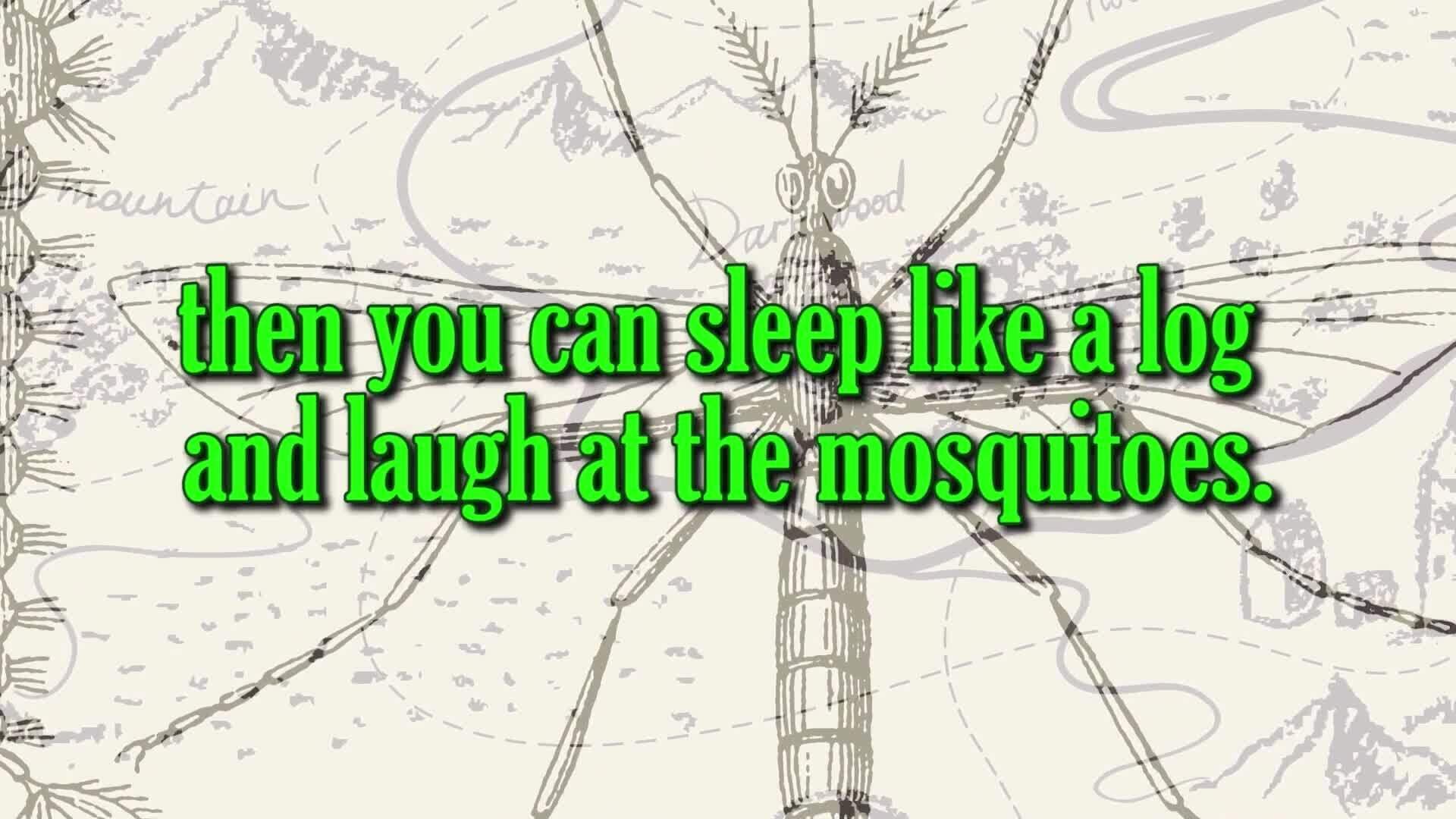 Understanding Second Person Point of View in Literature