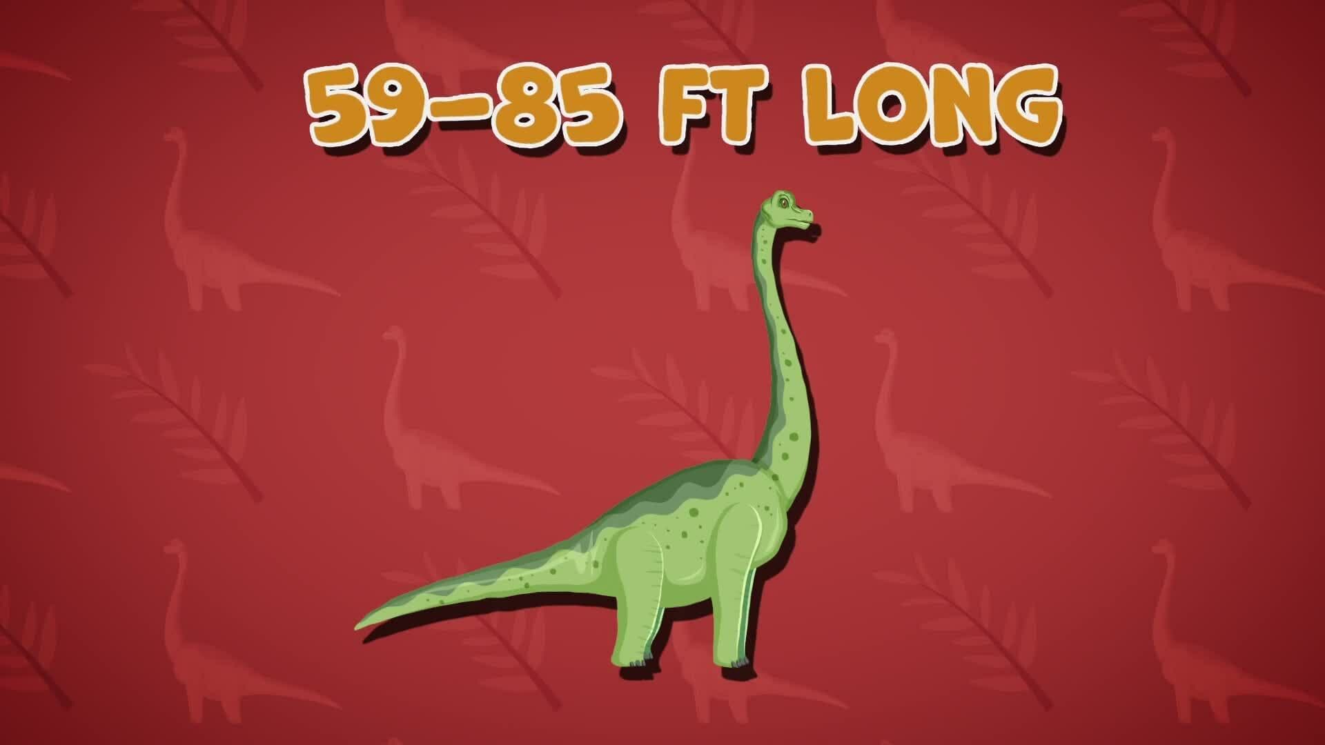 I WONDER - How Big Was The Brachiosaurus?