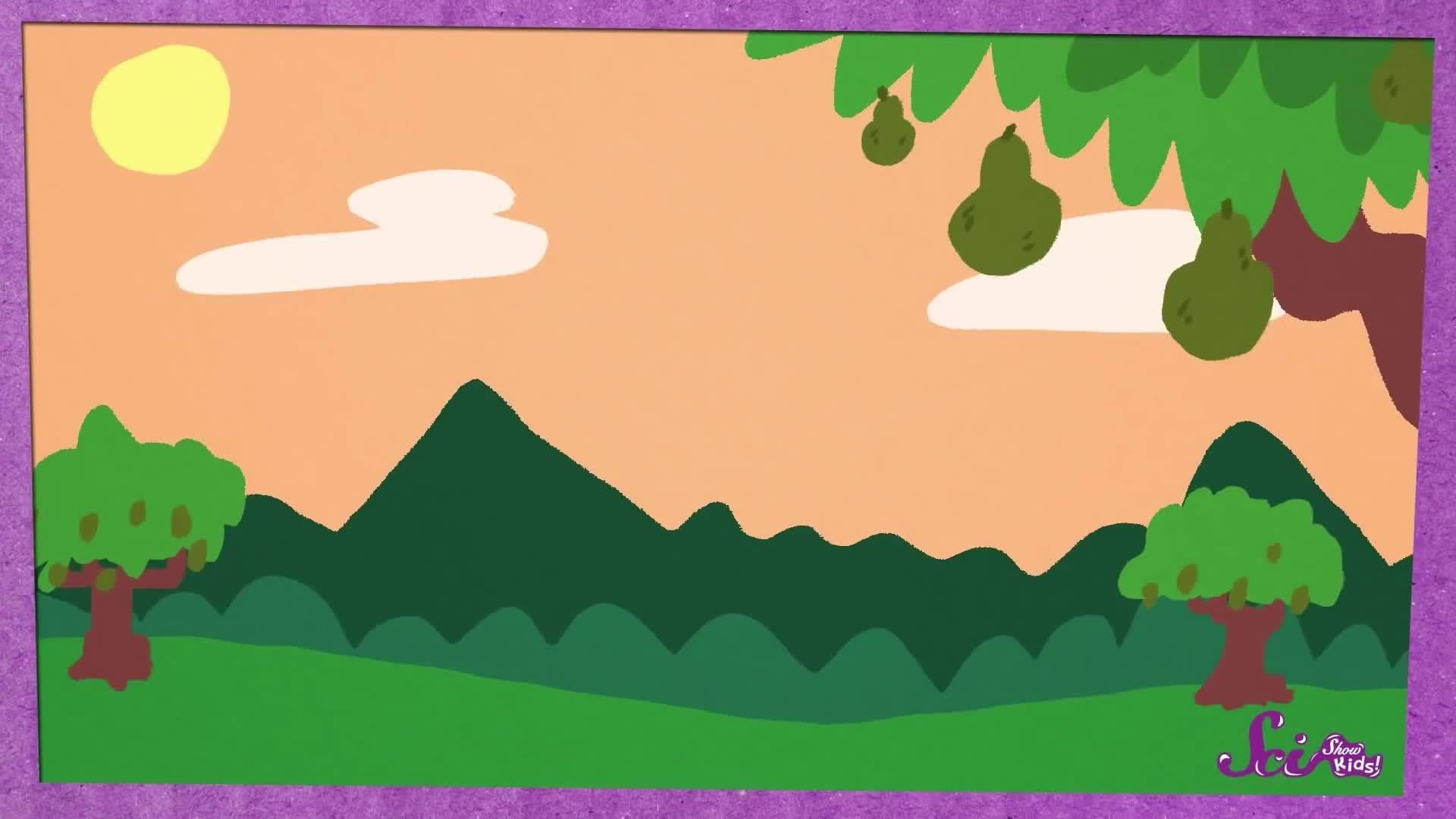 Our Ancient Human Cousins!