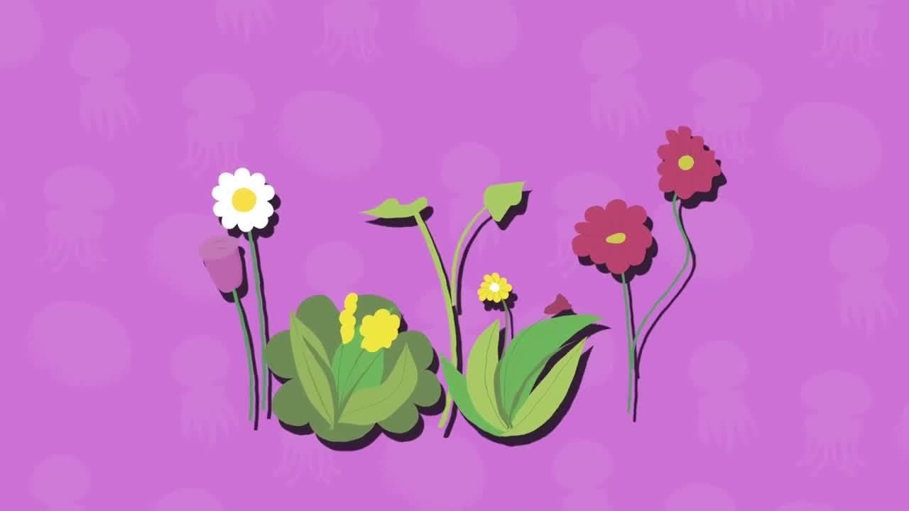 I WONDER - Why Are Invertebrates Important?