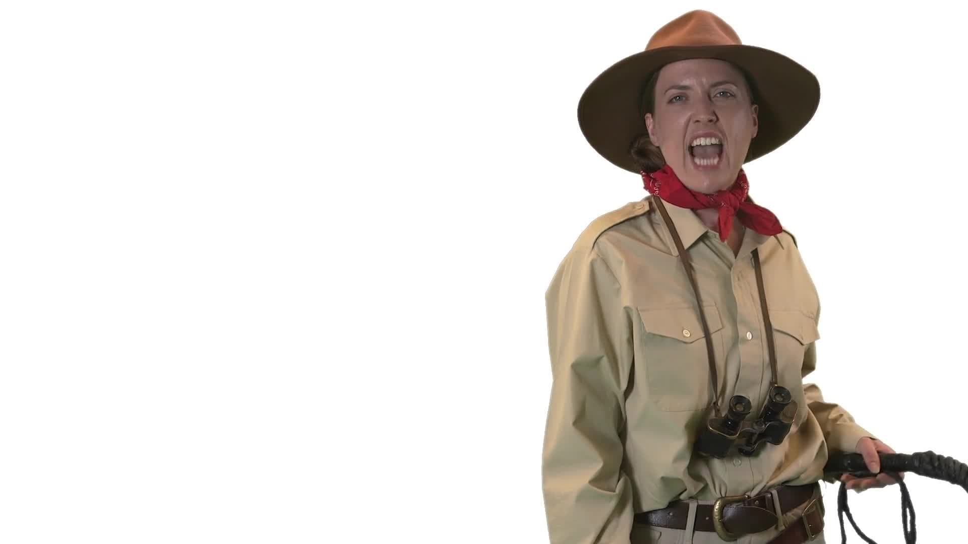 Who were the Ancient Maya?