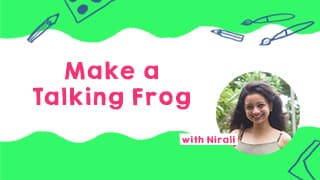 Talking Frog DIY
