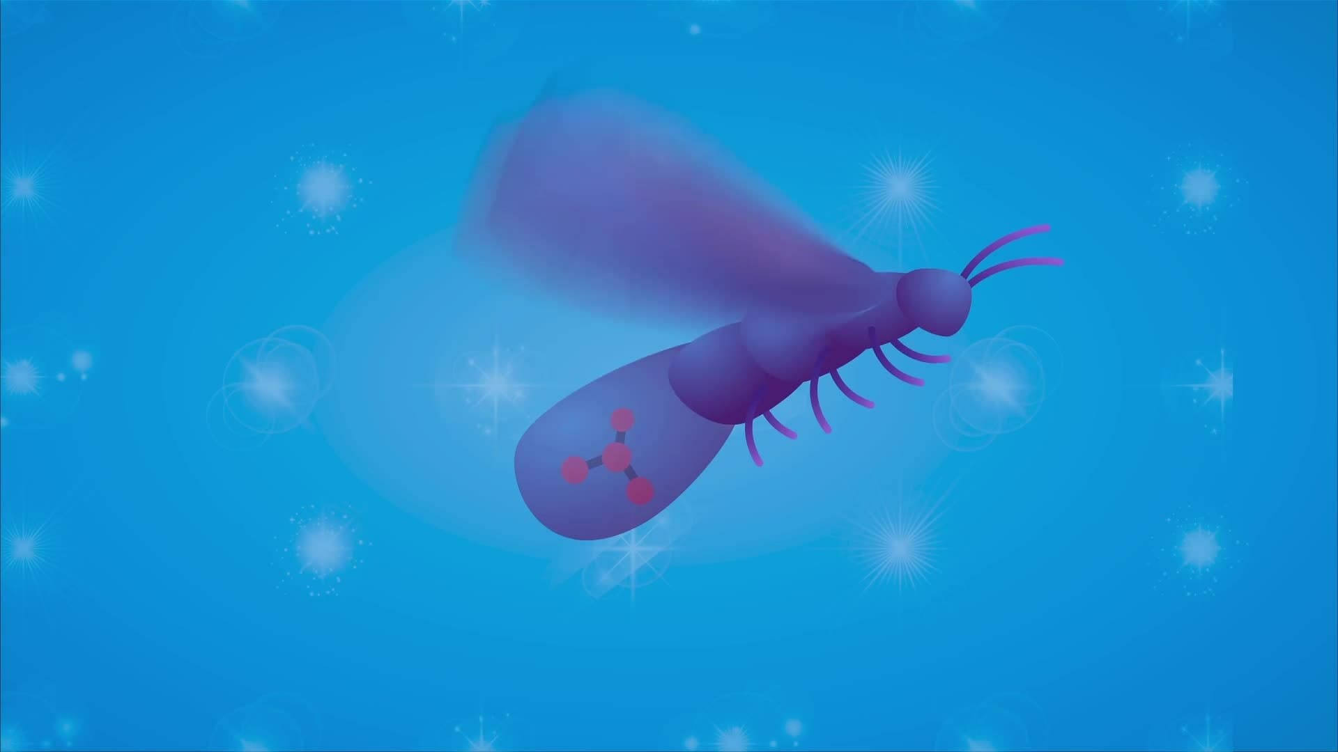 I WONDER - How Do Some Animals Glow?