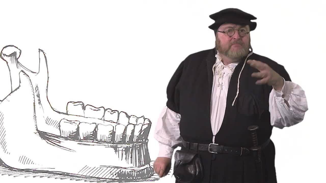 Andreas Vesalius dared to say Galen was wrong