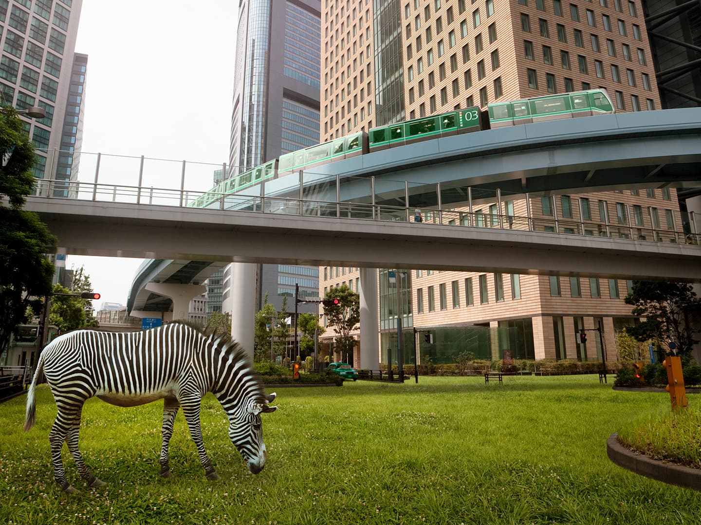 The Holiday Tree Crisis: A Tale of Trust, Leadership, and Inclusion