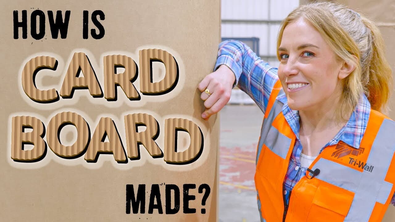 How is Cardboard made? | Maddie Moate