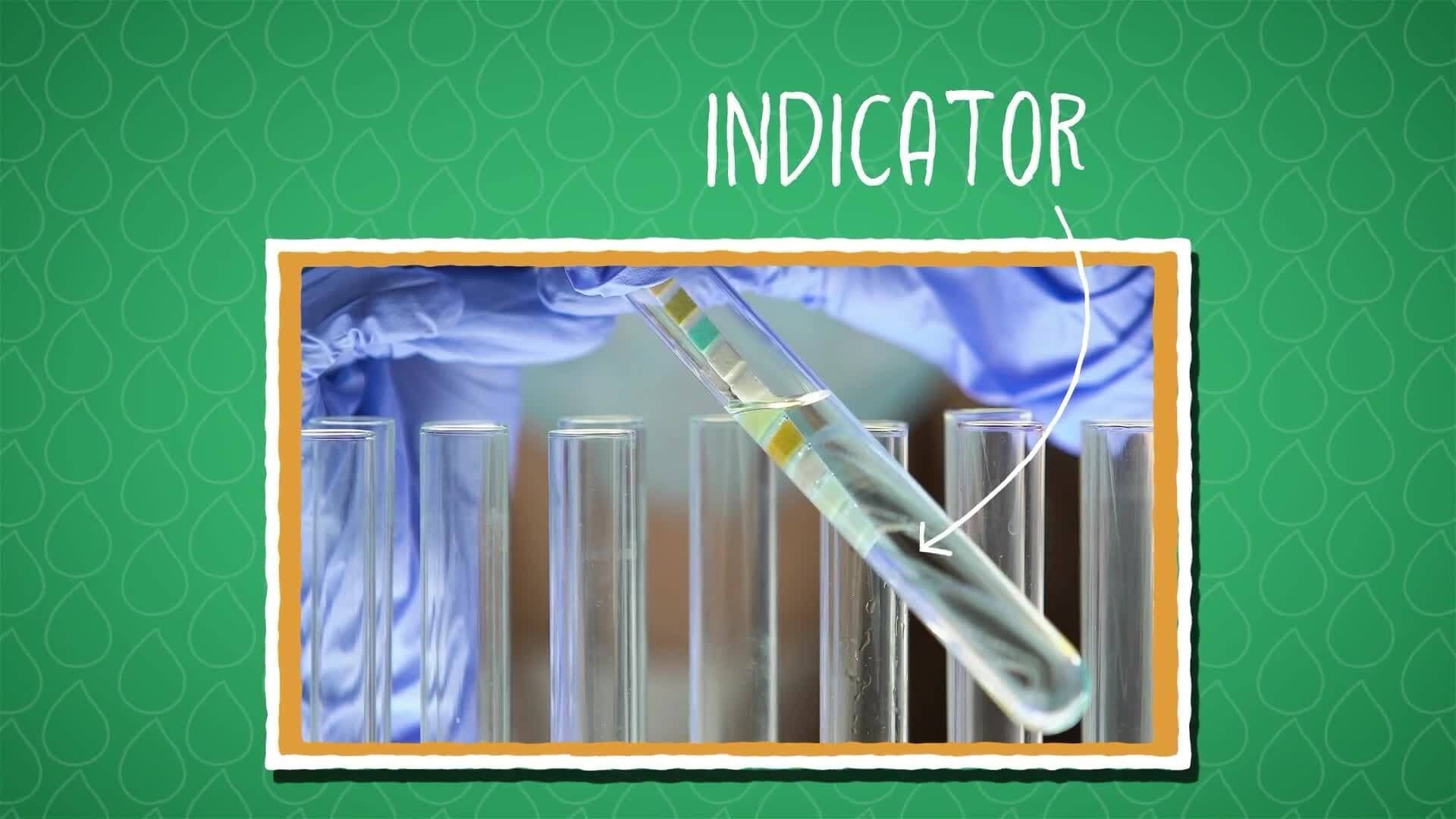 I WONDER - What Is An Acid Indicator?