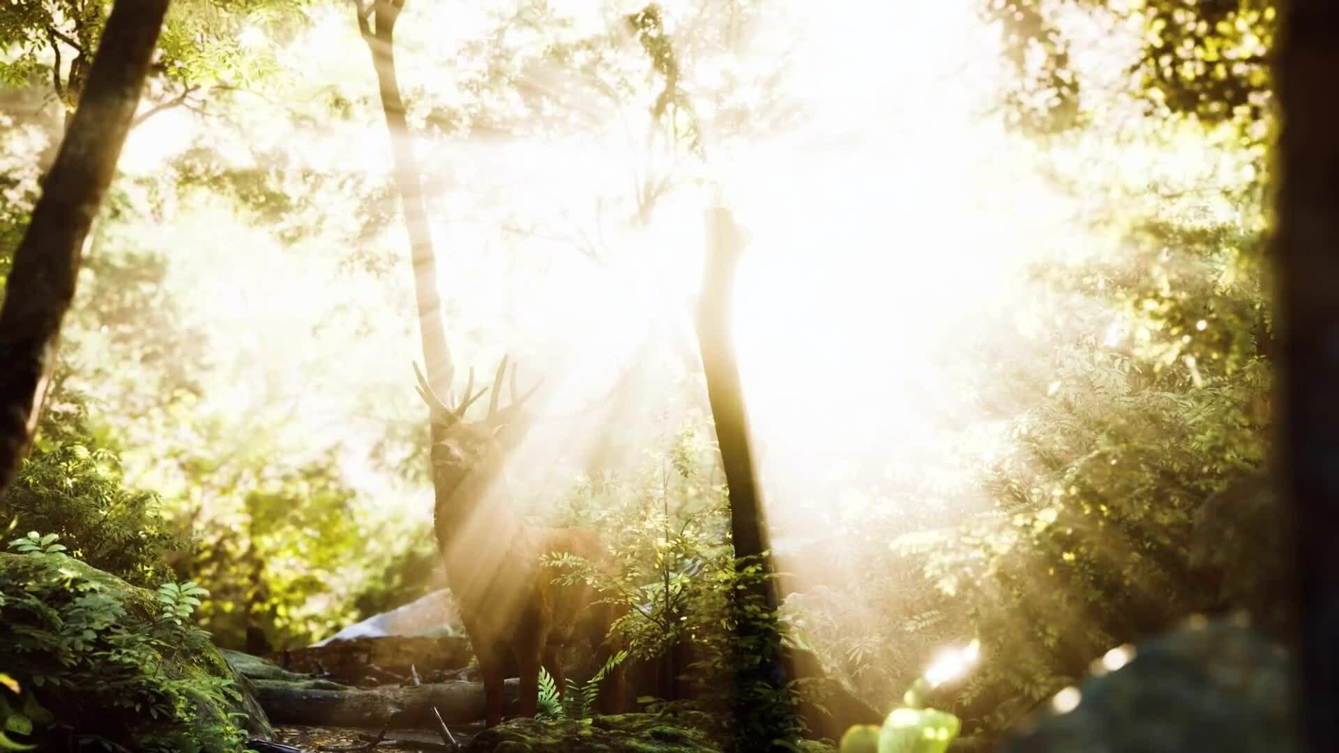 High Five Facts - Centaurs