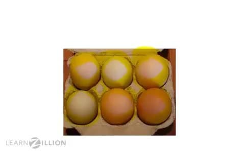 Subtracting Fractions of a Set with Like Denominators: Labeling Sets of Objects