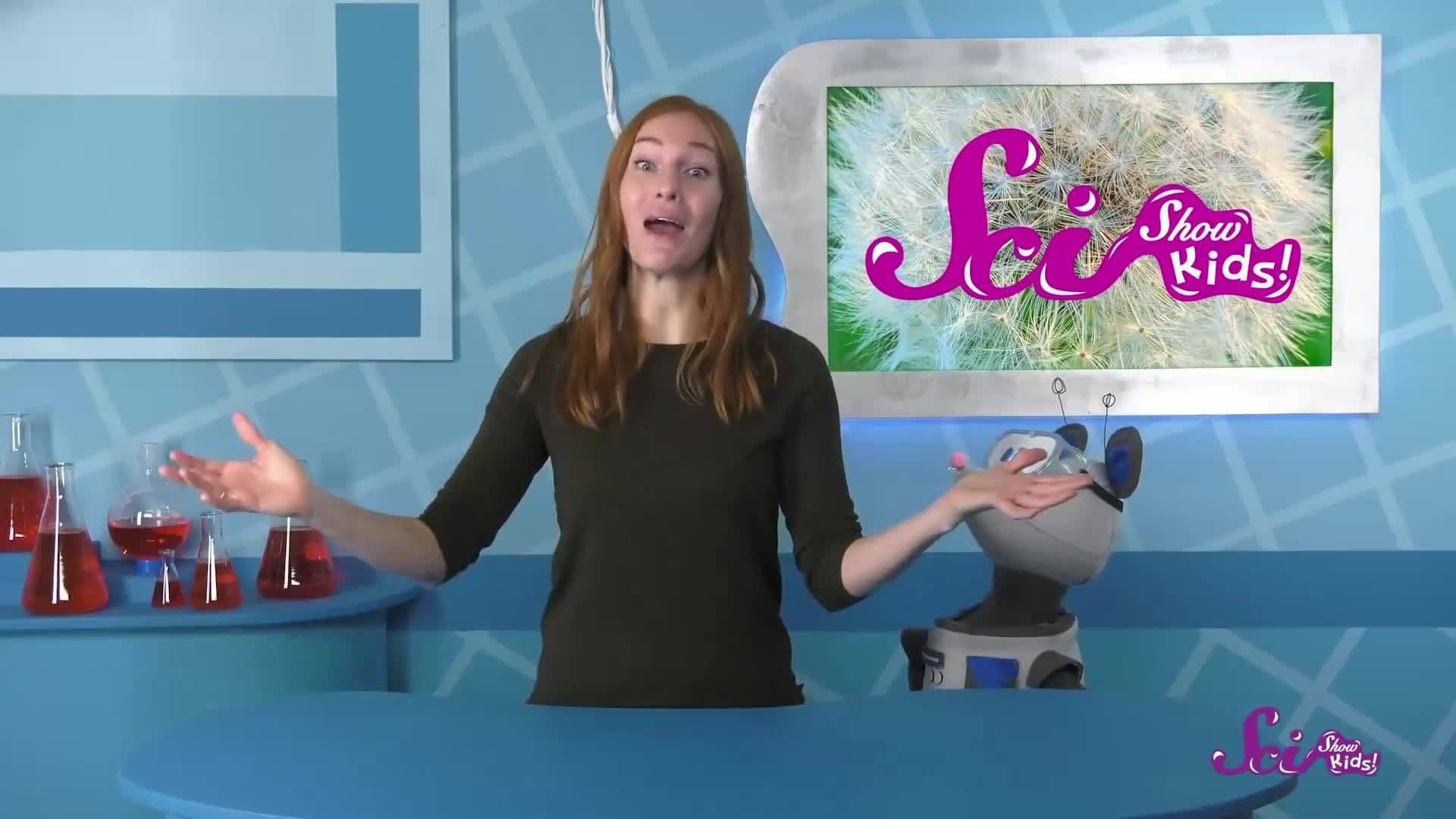 How Plant Seeds Travel the World