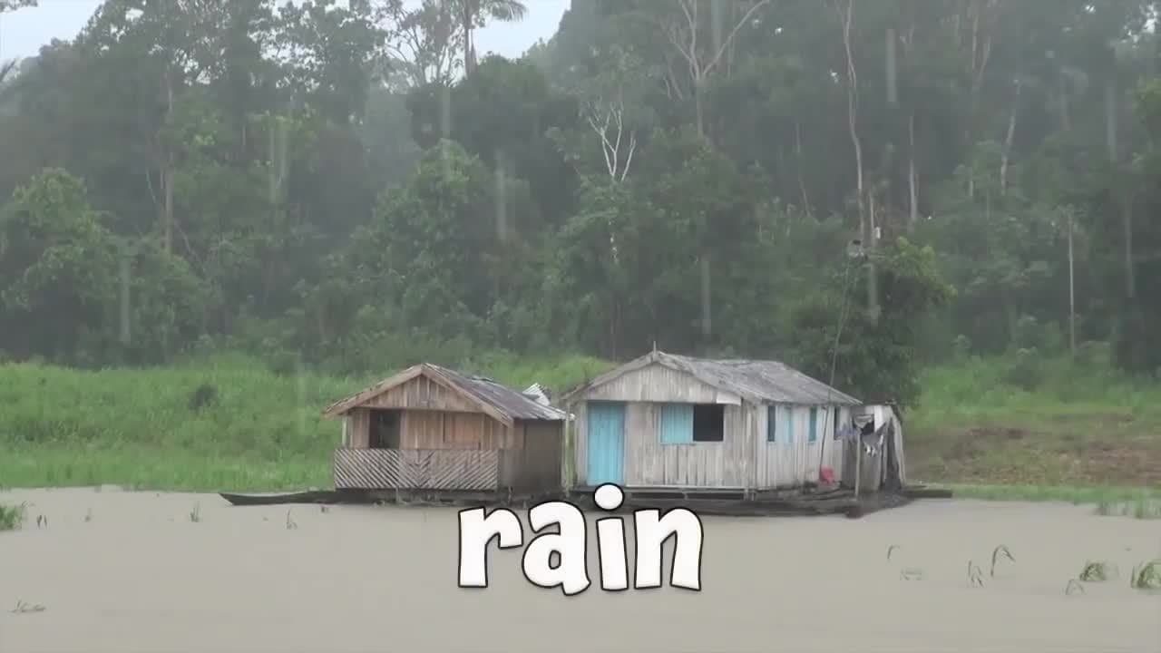 Types of Weather | Learning about Weather for Children