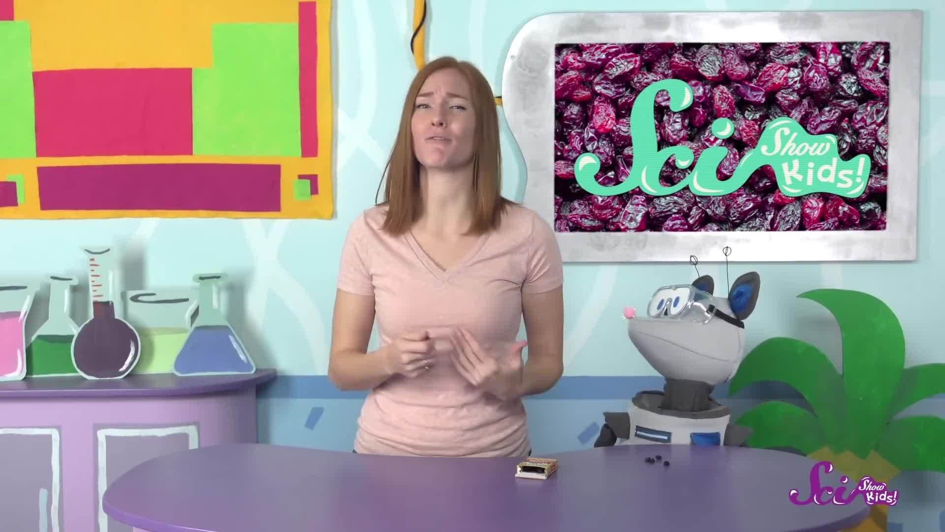 How Are Raisins Made?