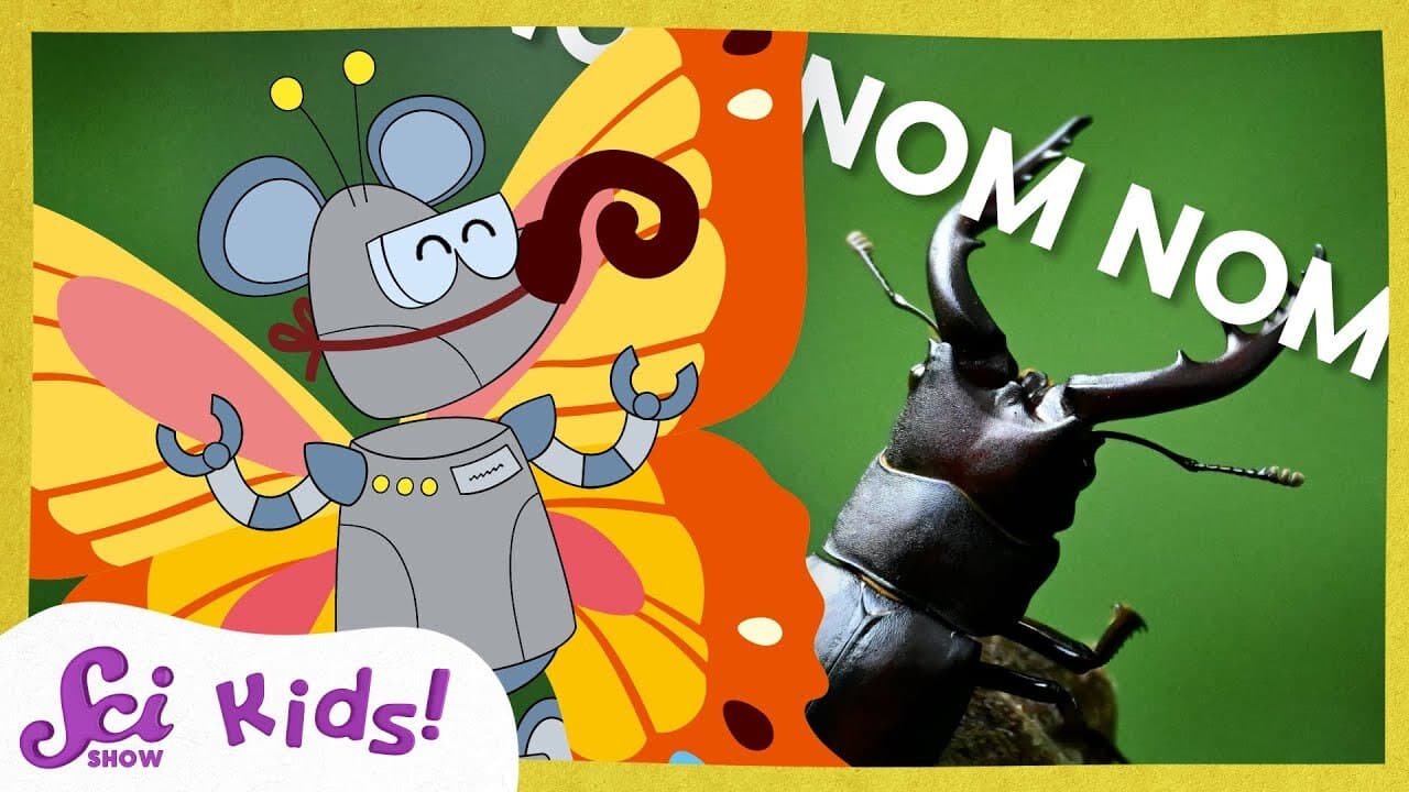 The Wonderful World of Insect Mouths | SciShow Kids