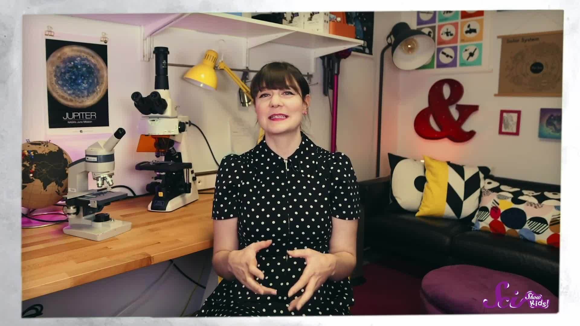 Life Under The Ice with Ariel Waldman! | A Field Trip to Antarctica! | SciShow Kids