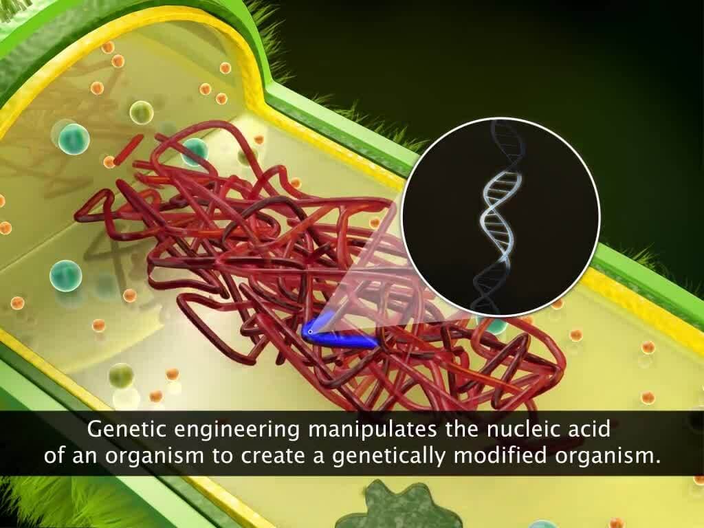 Introduction to Biotechnology