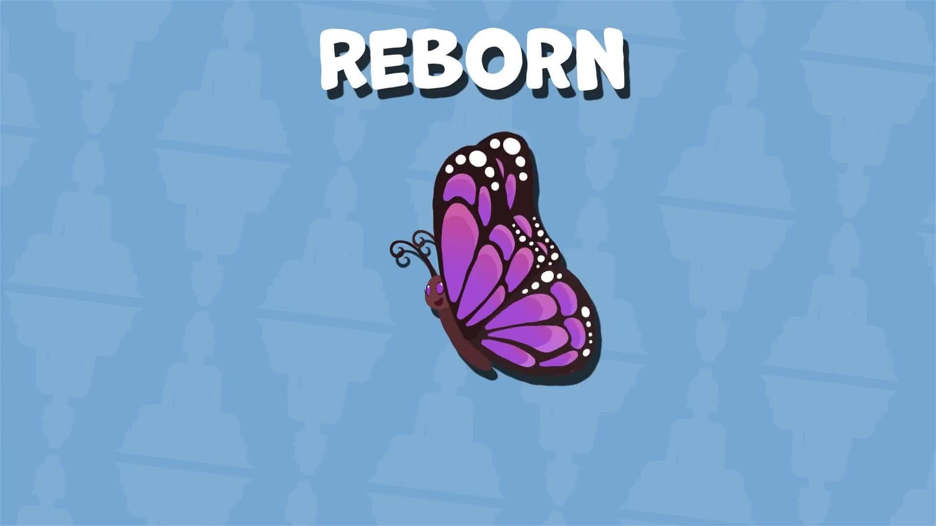 I WONDER - What Do Buddhists Believe In?