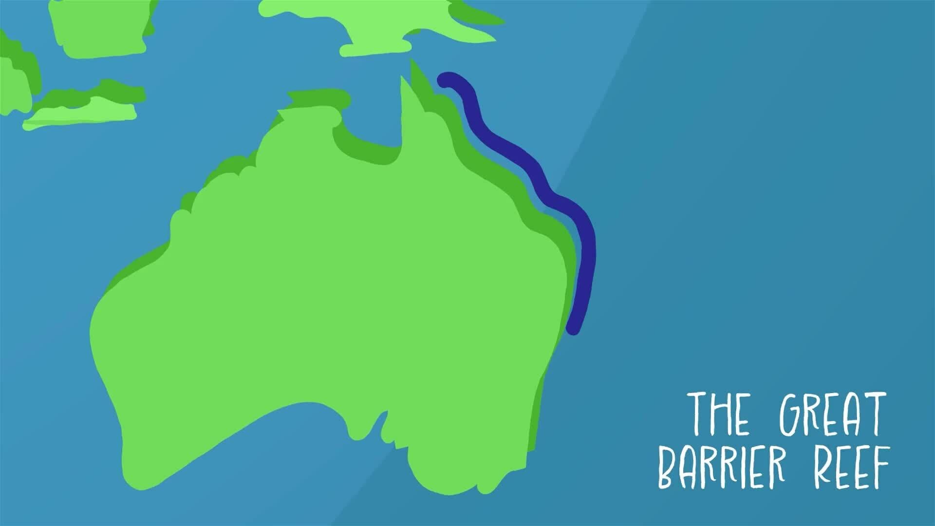 I WONDER - What Is The Great Barrier Reef?