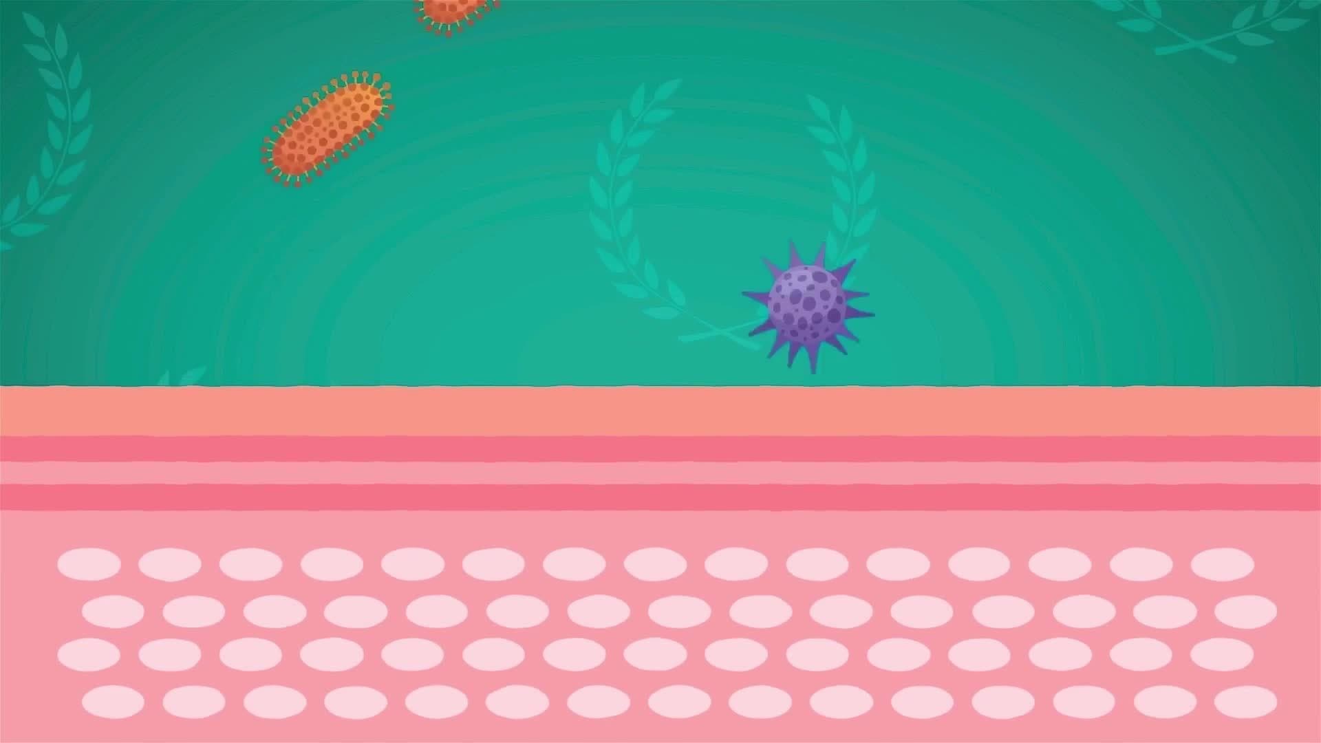 I WONDER - Is The Skin Made Of Layers?