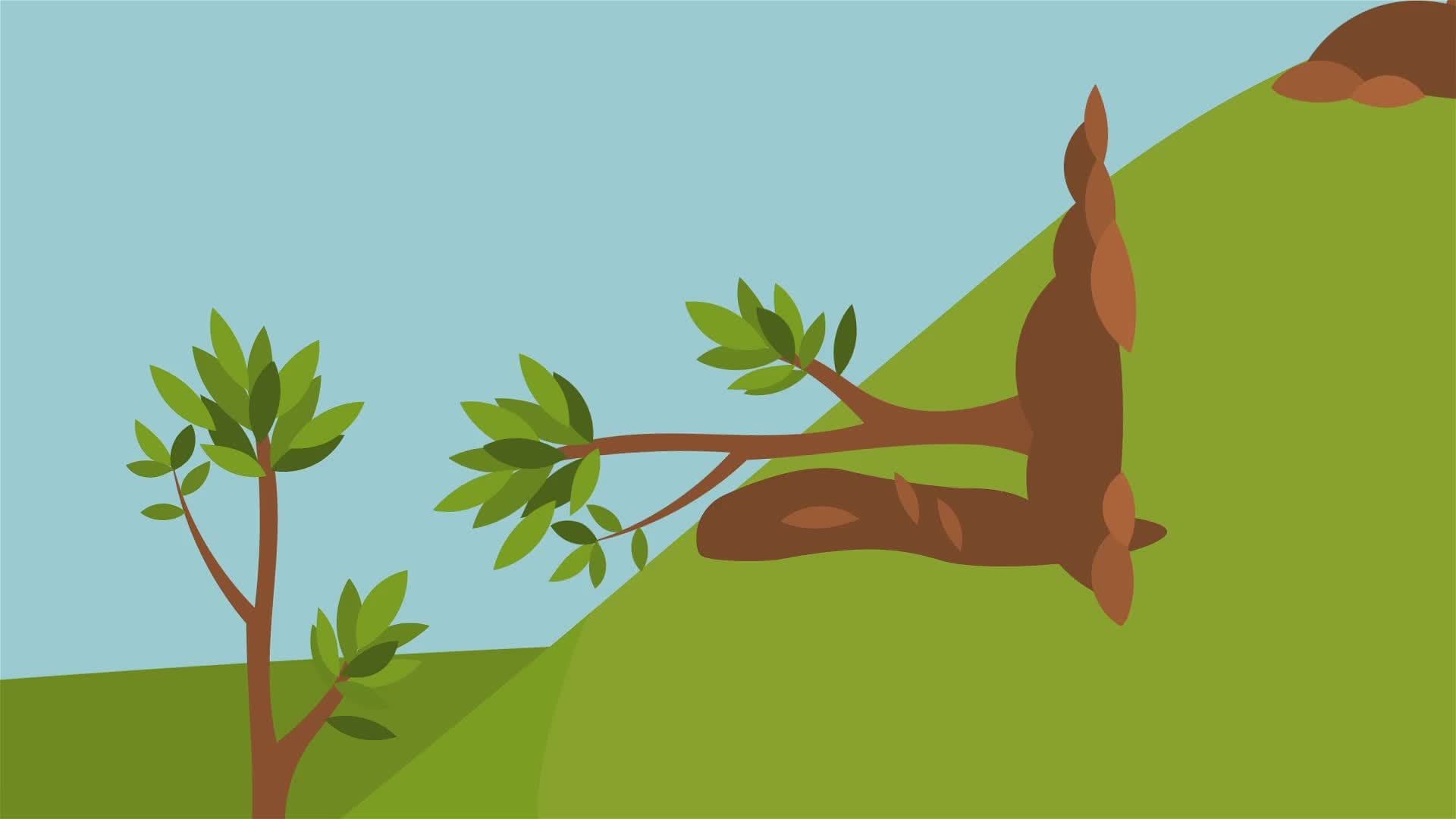 I WONDER - What Problems Does Soil Erosion Cause?