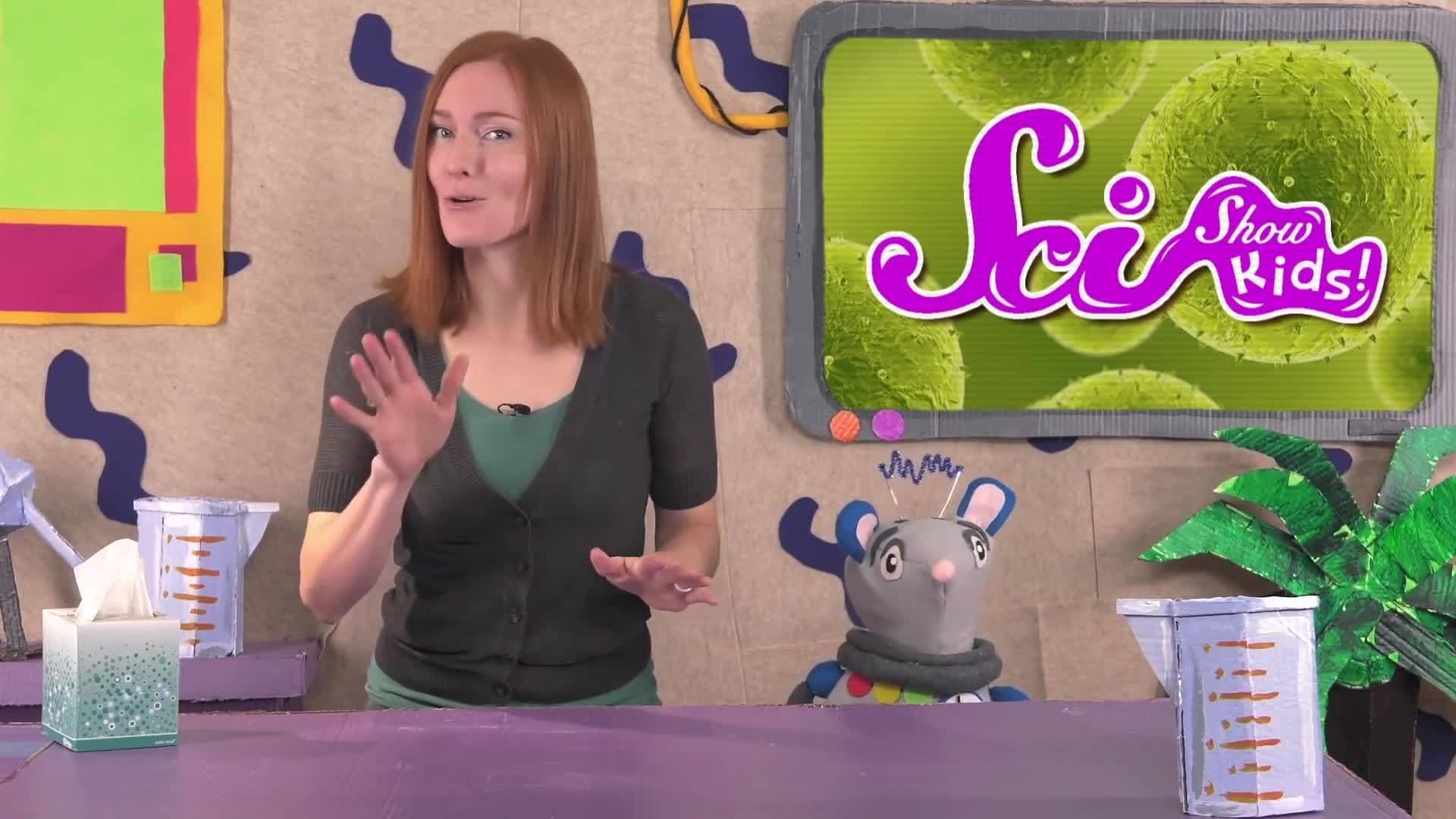 Why Does Springtime Make Me Sneeze? Body Science for Kids