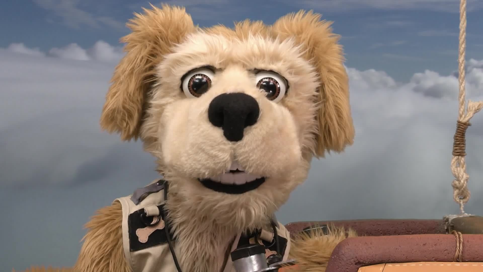 Animal Alphabet: G is for Gannet