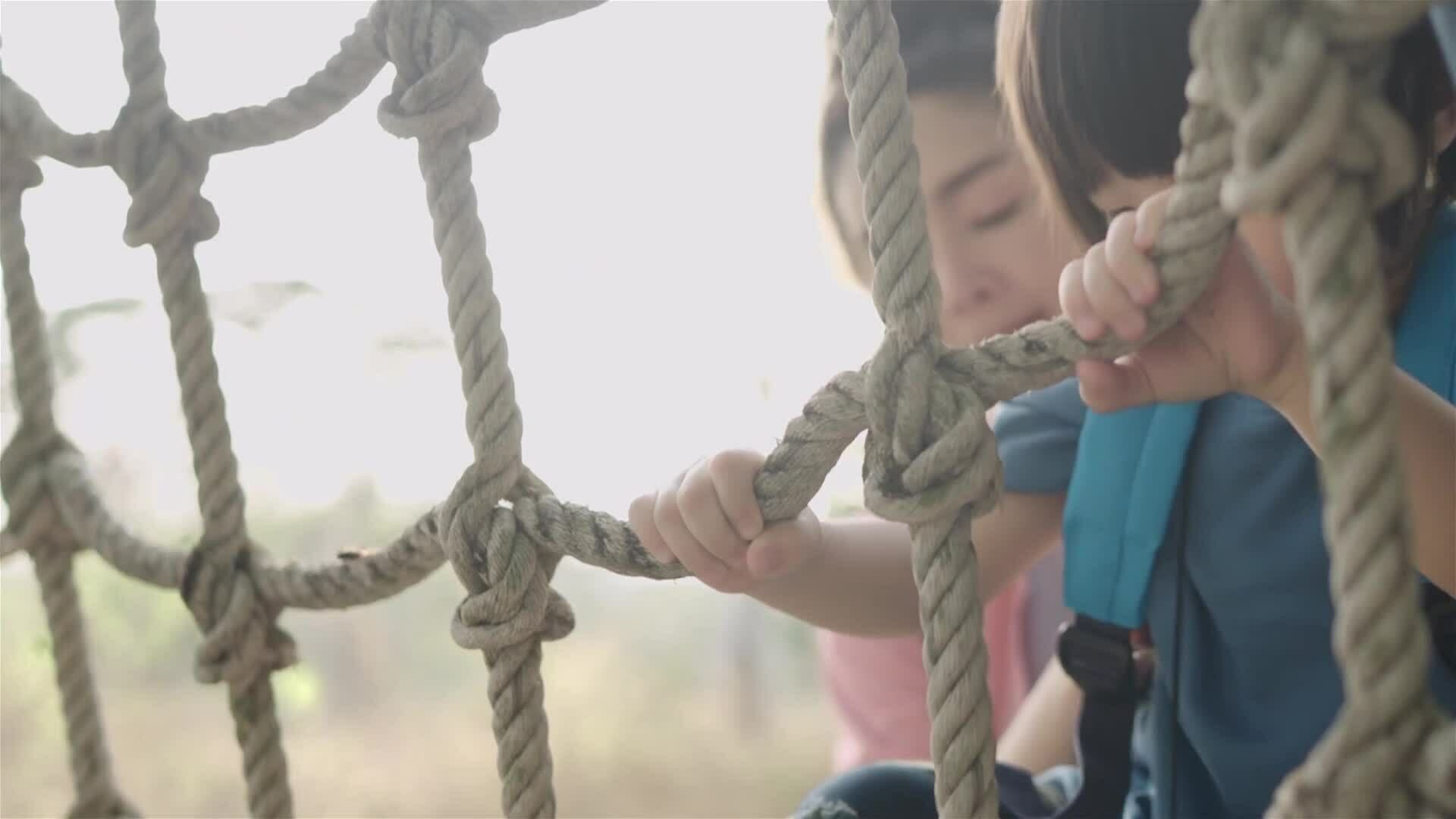 I WONDER - What Is A Joint?