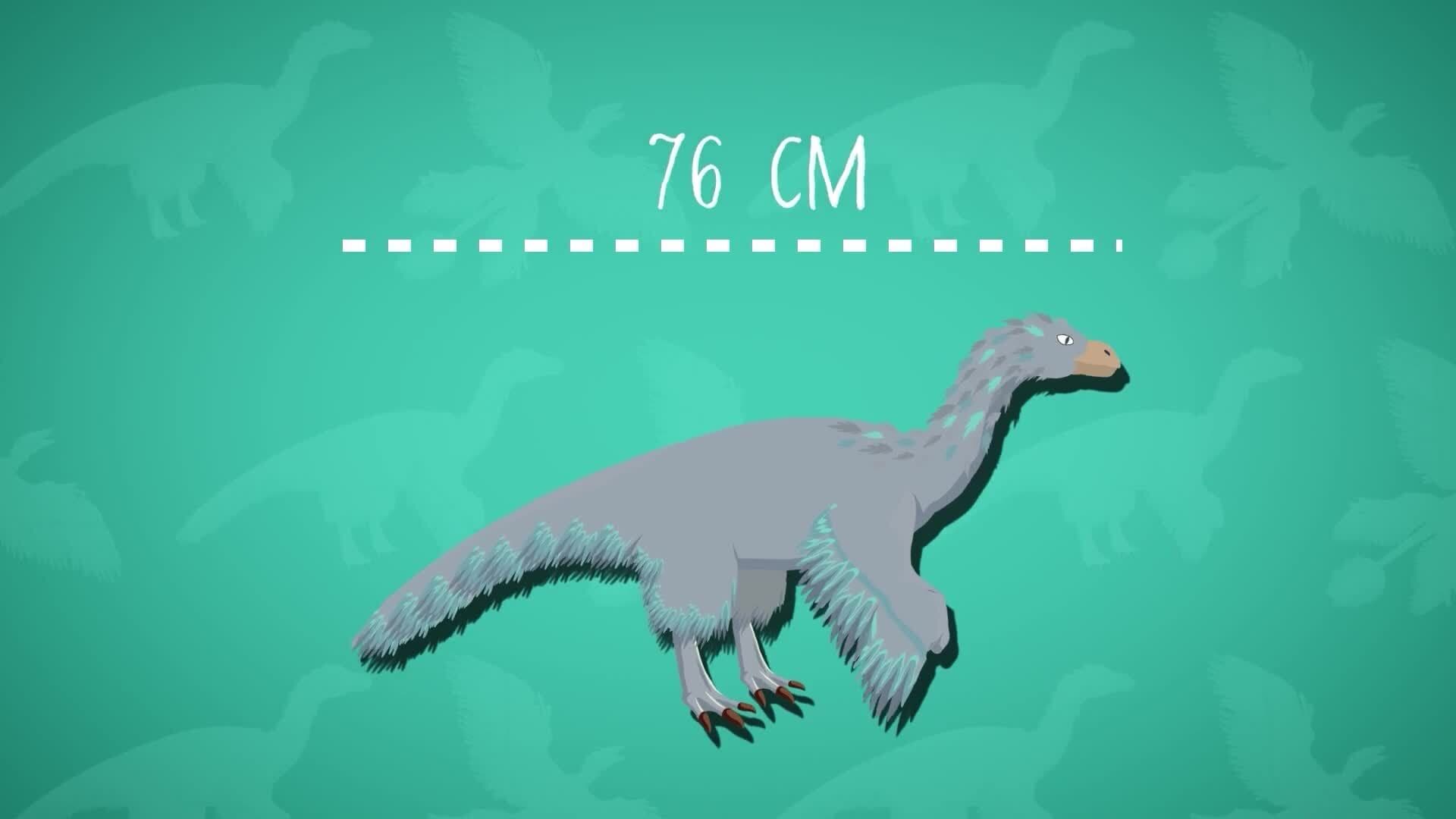 I WONDER - Where Did The Microraptor Hunt?