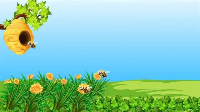 Where do Insects Live?