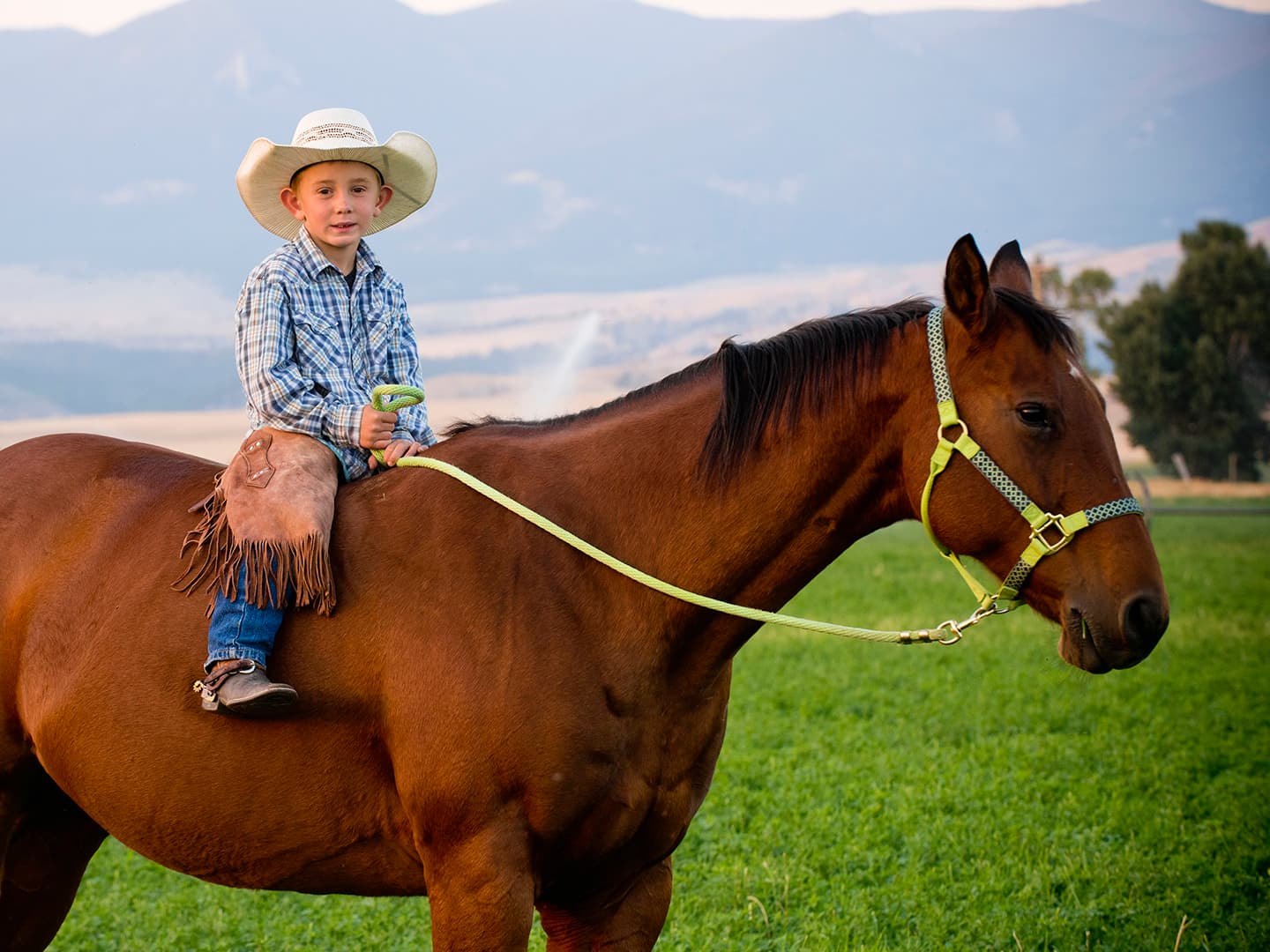 The Importance of Consideration