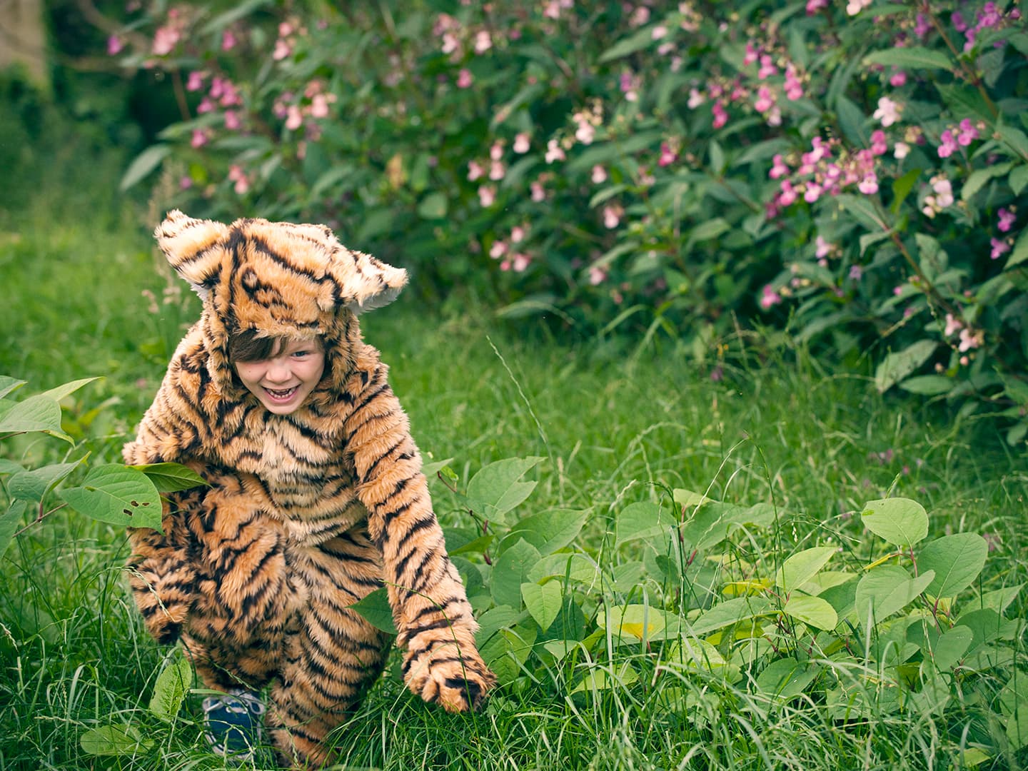 Cooperation: Working Together for a Common Goal