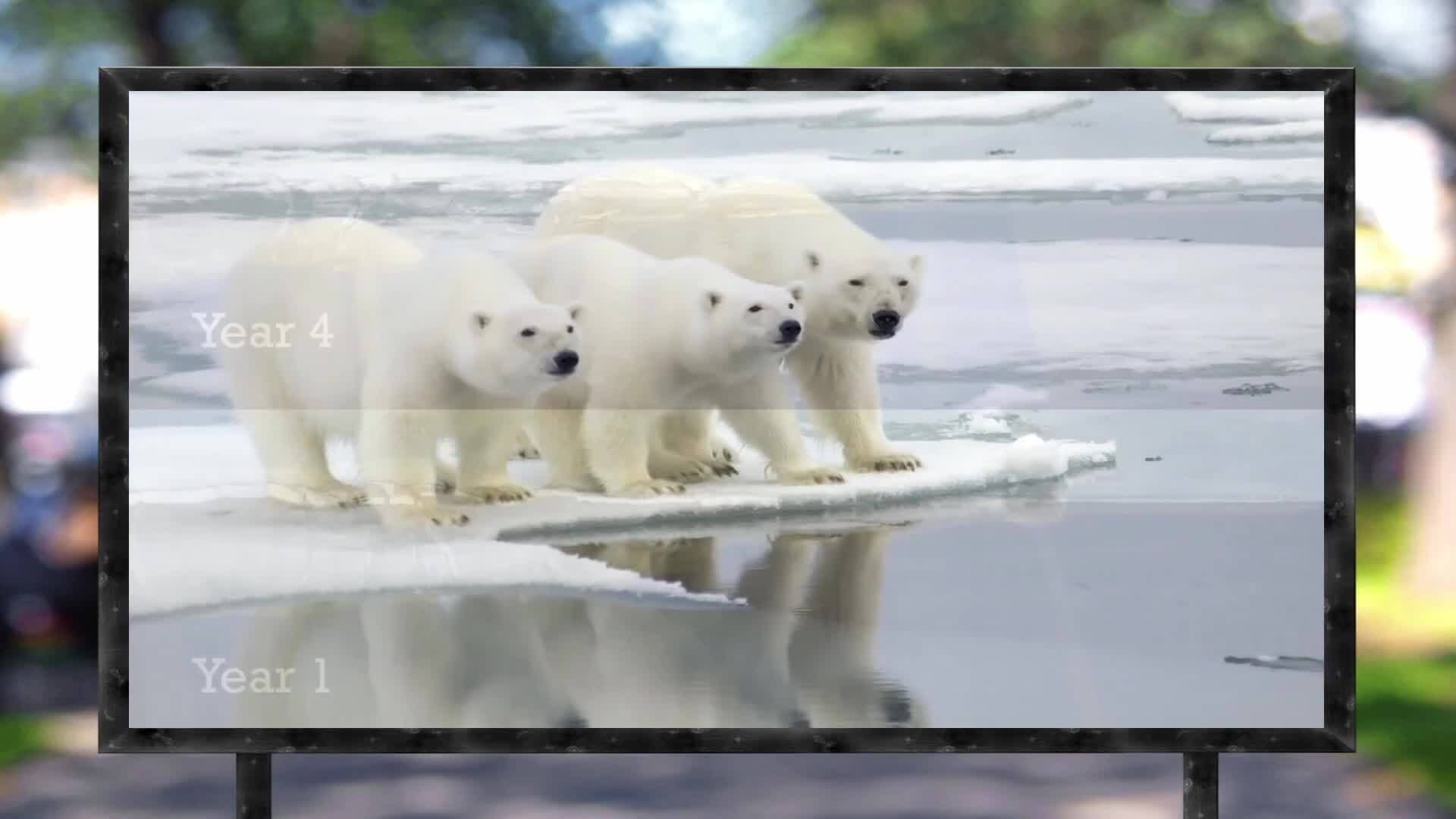 Consequences of Global Warming: Ecosystems at Risk