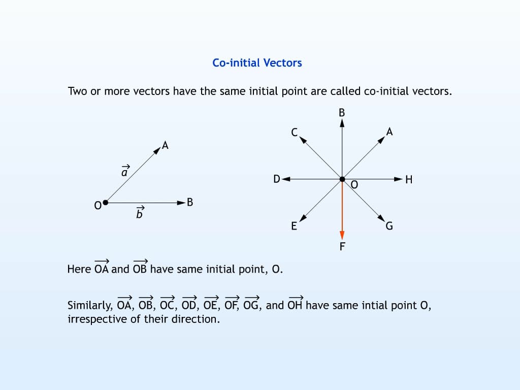Types of Vectors