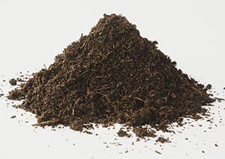 What do plants need?