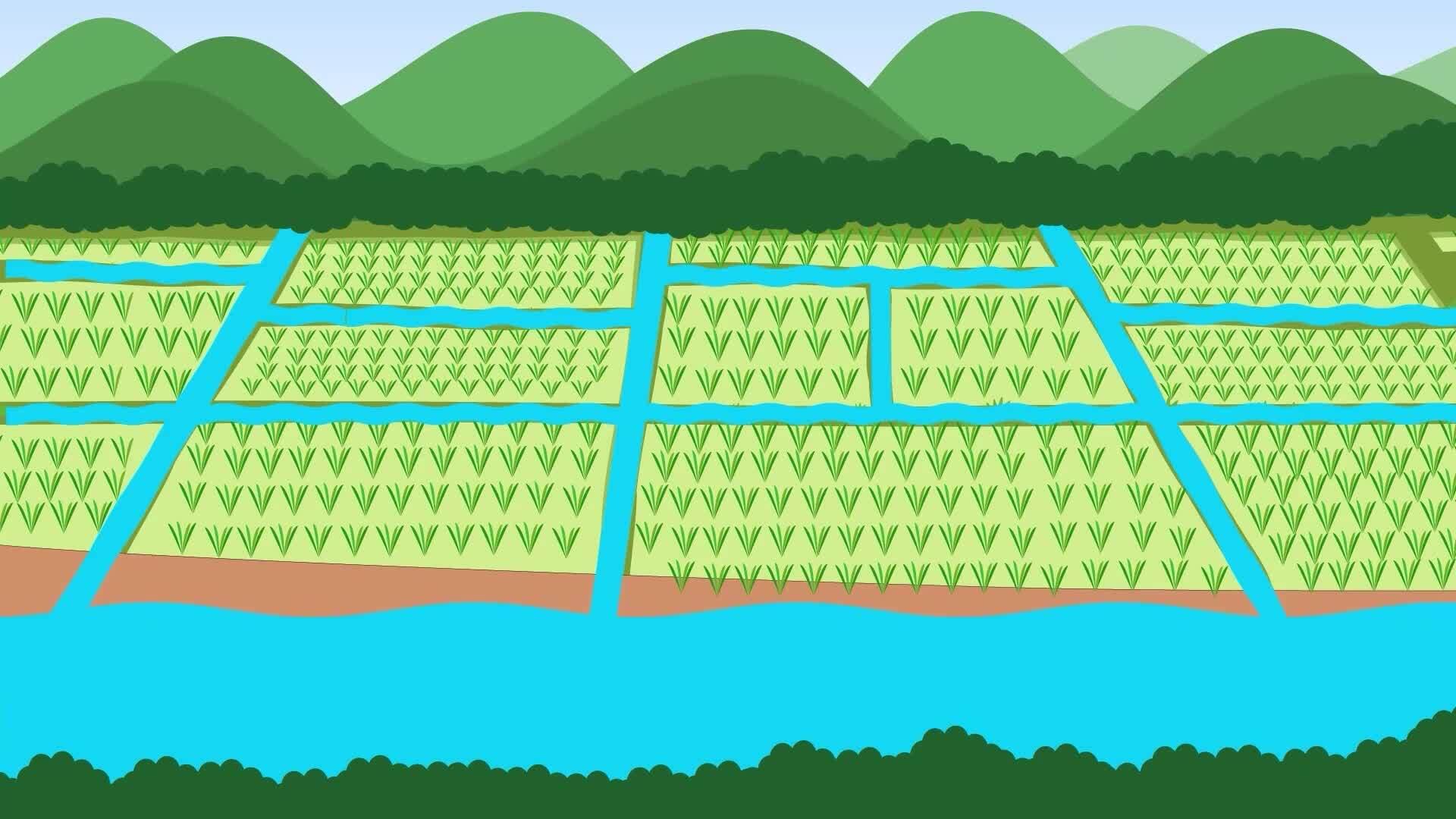 How Does it Work? - Irrigation