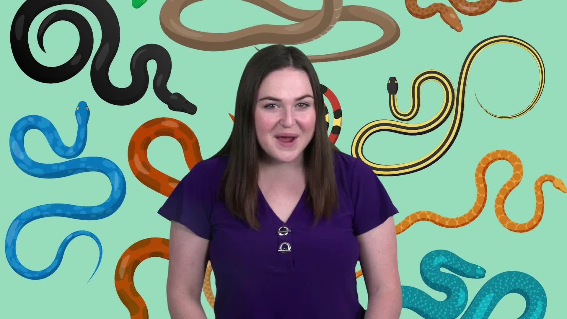 Slithering Marvels: Unveiling the World of Snakes