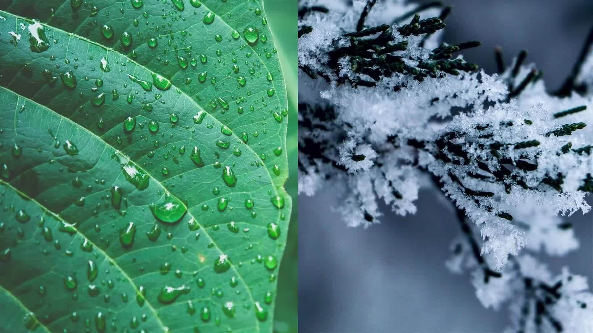 I WONDER - Is Frost Different To Dew?