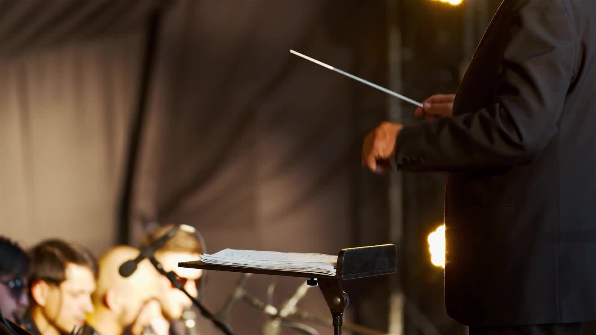 I WONDER - What Job Does The Orchestra Conductor Do?