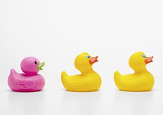 Reducing the spread of disease – Odd one out