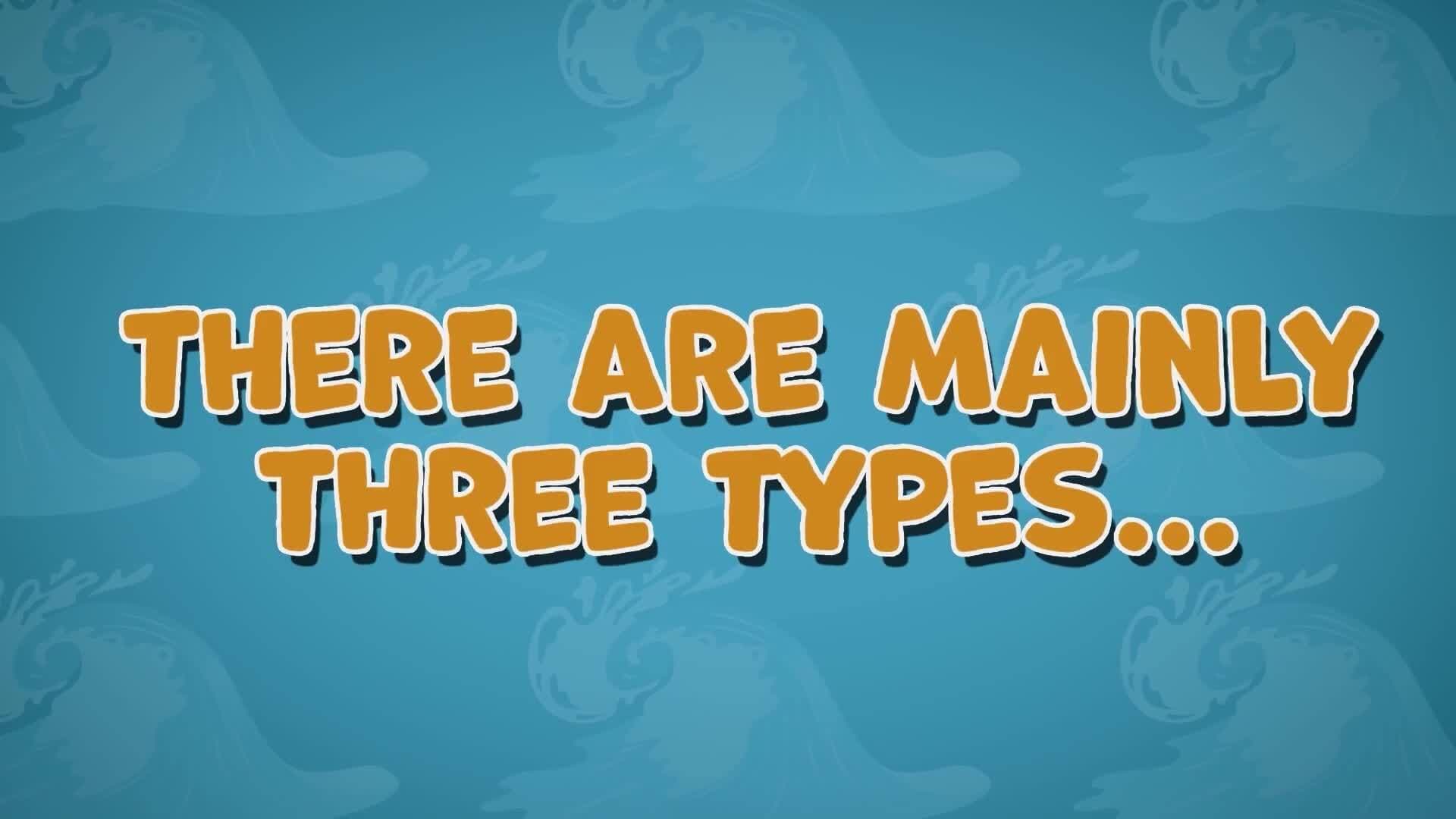 I WONDER - What Is Ocean Energy?